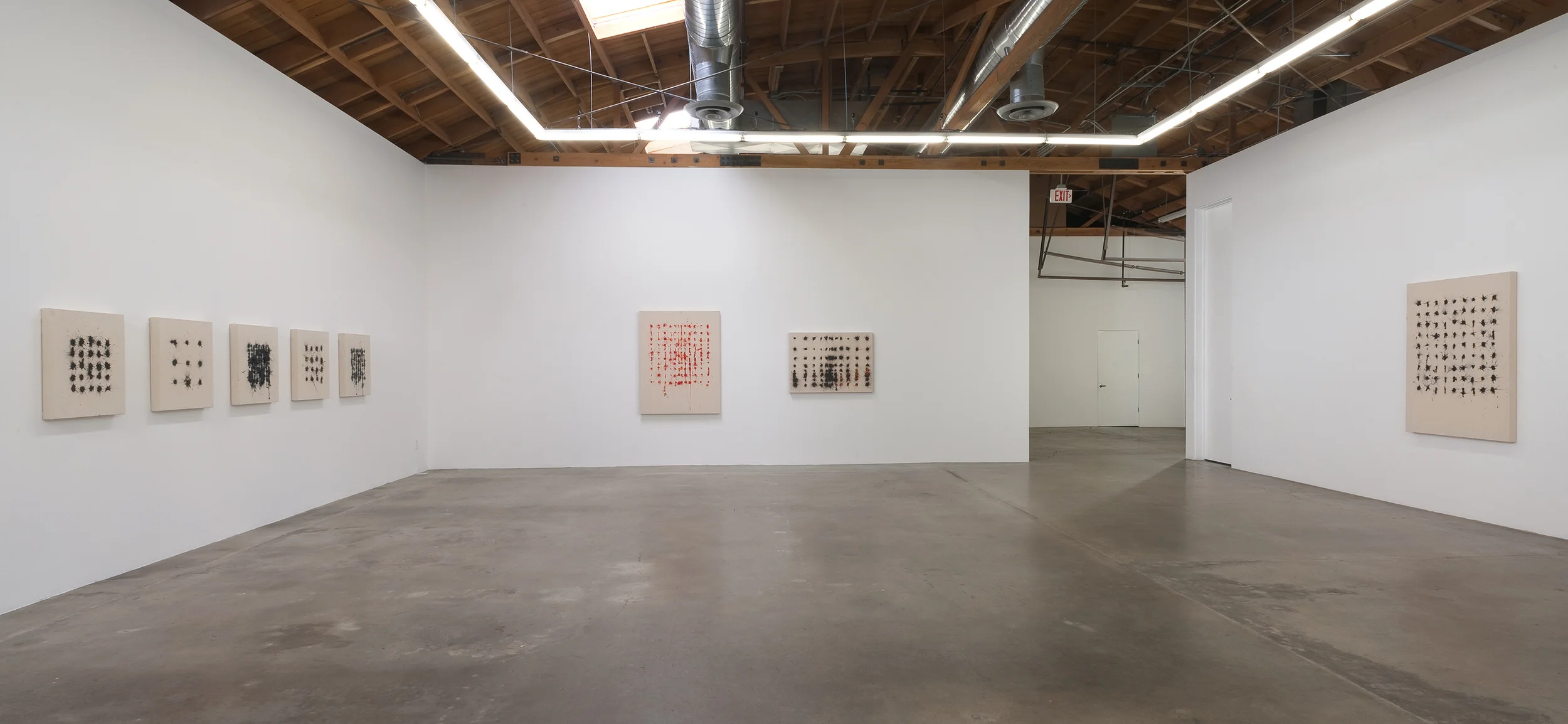 Duffy_2014_SVLAPsolo_Installation03_hires.jpg