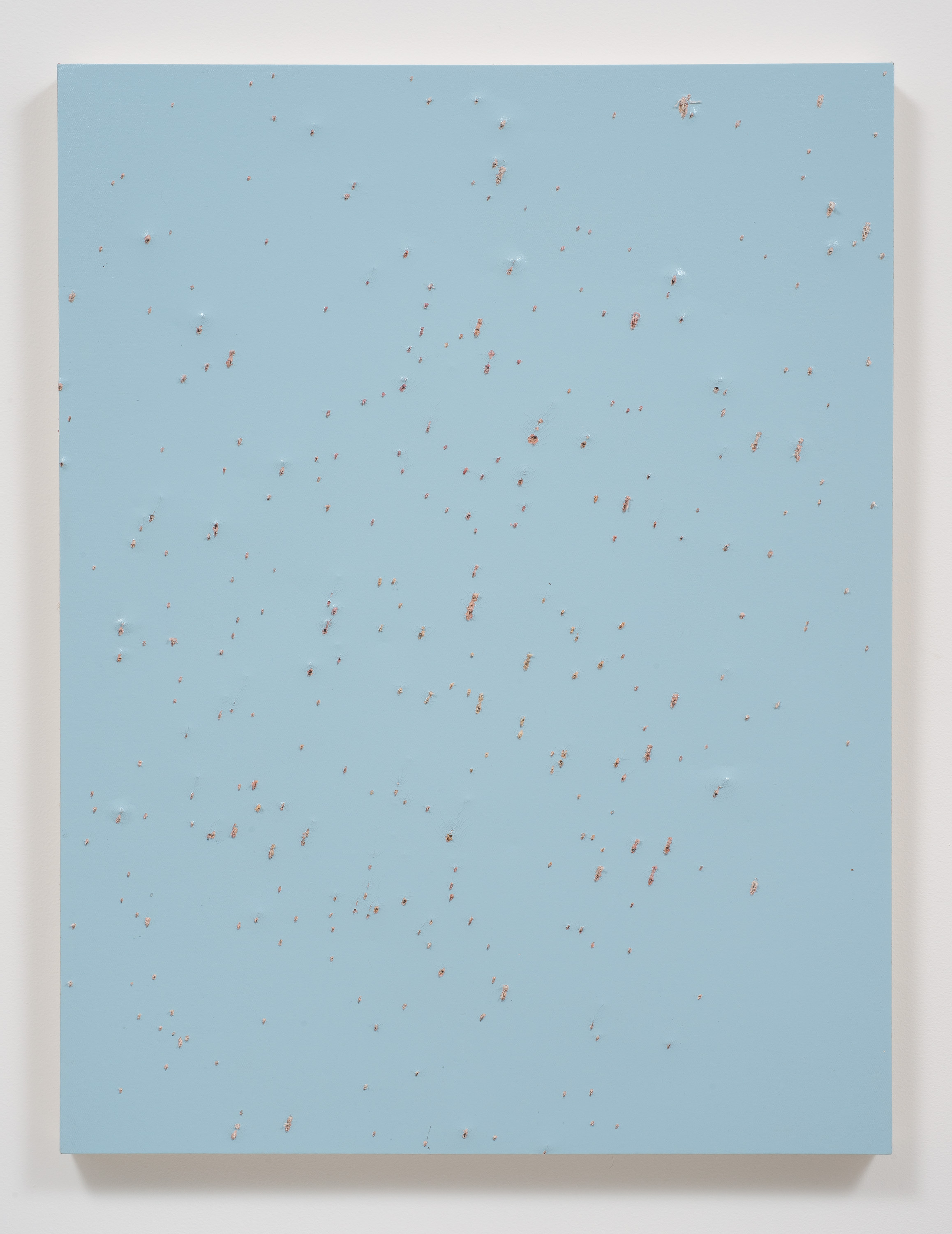 April in Jamul (red) - 2014 - Enamel and birdshot on canvas - 41” x 31”