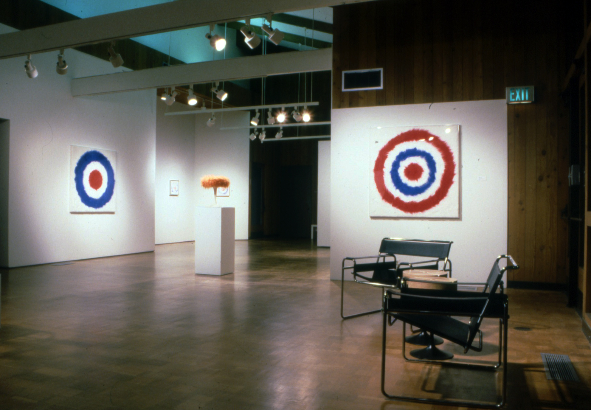 mod - installation view