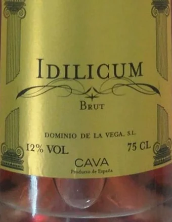 IDILICUM ROSE.jpg