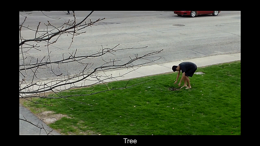 Tree.gif