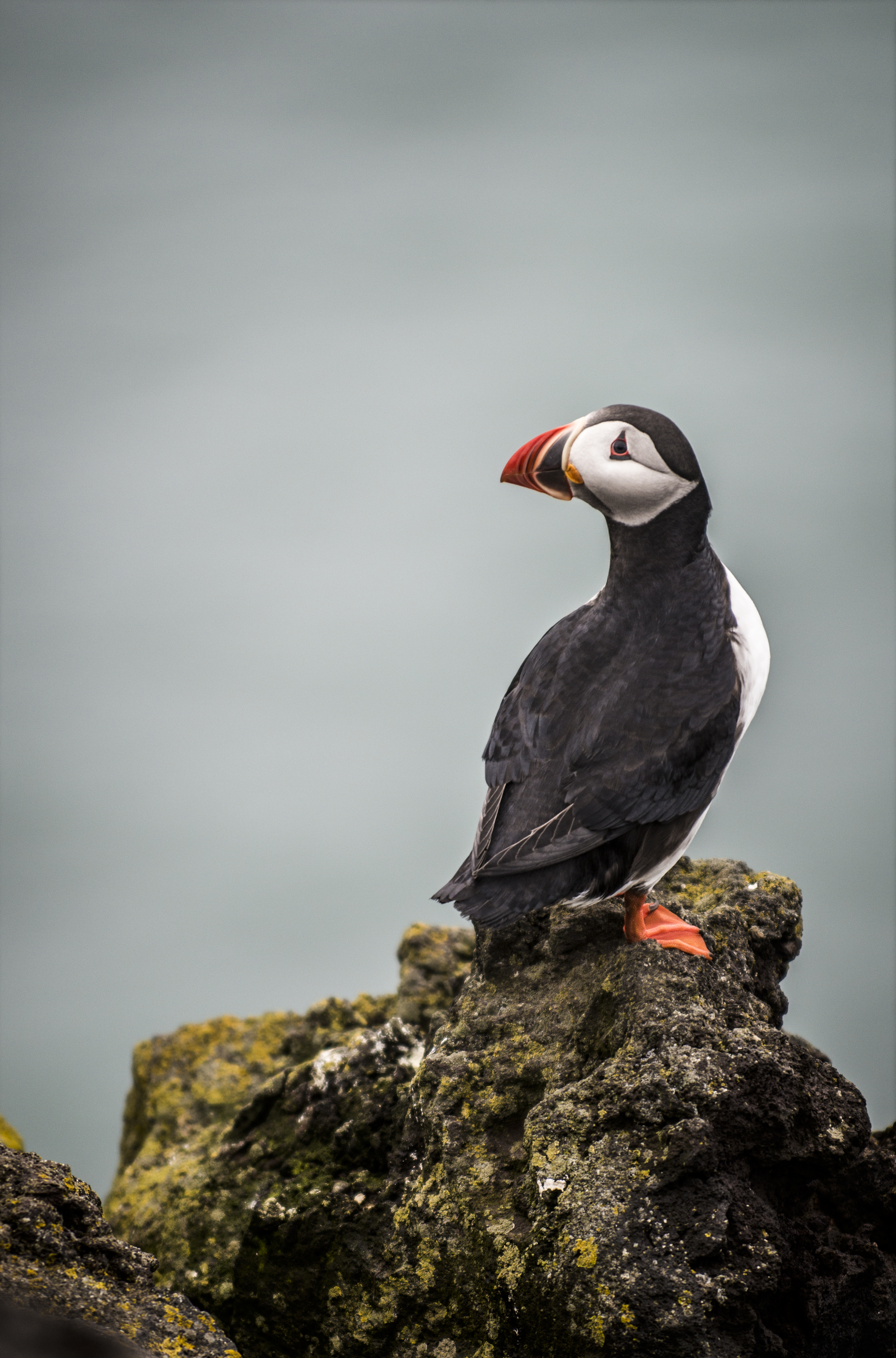 DSC_1241-Edit.jpg