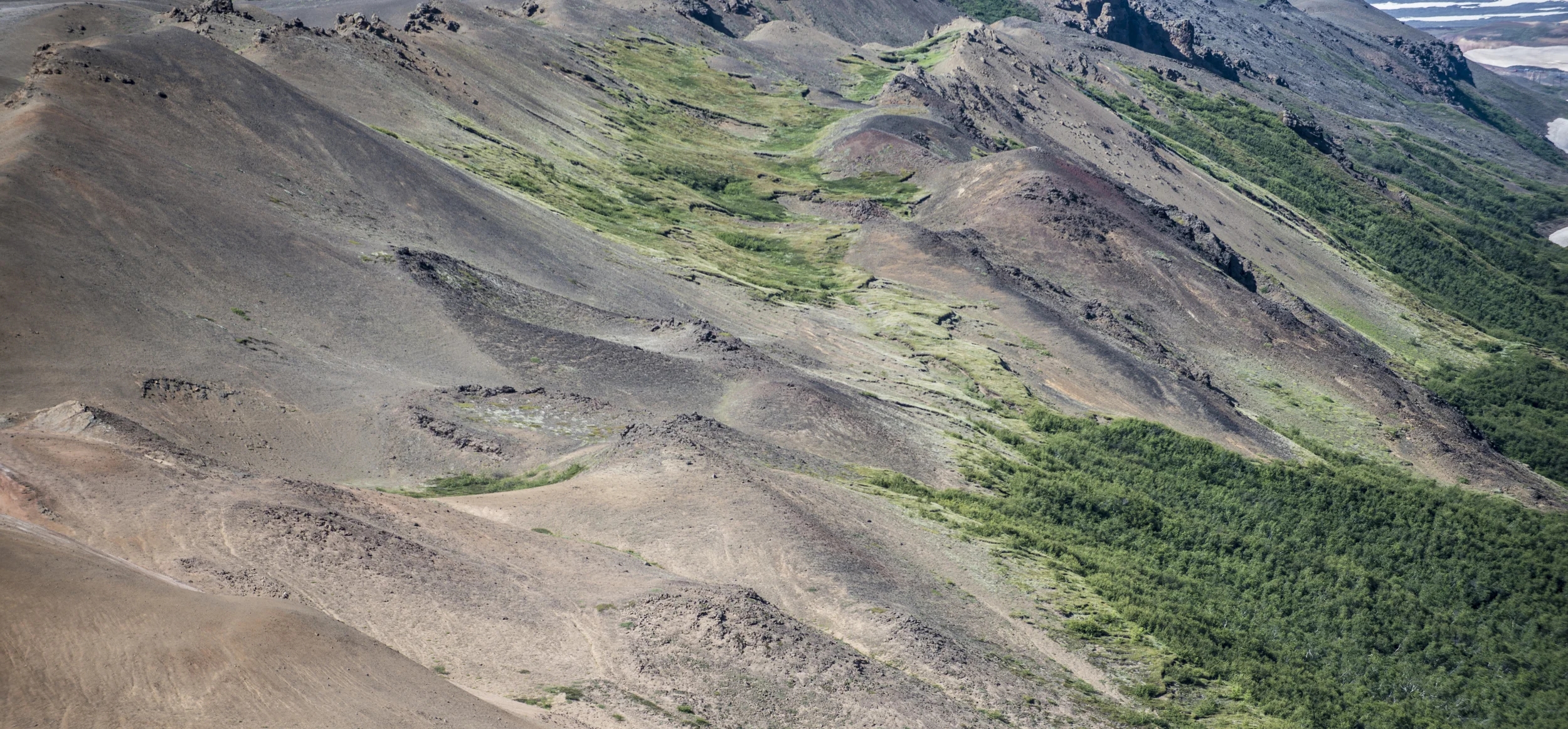 DSC_0121.jpg