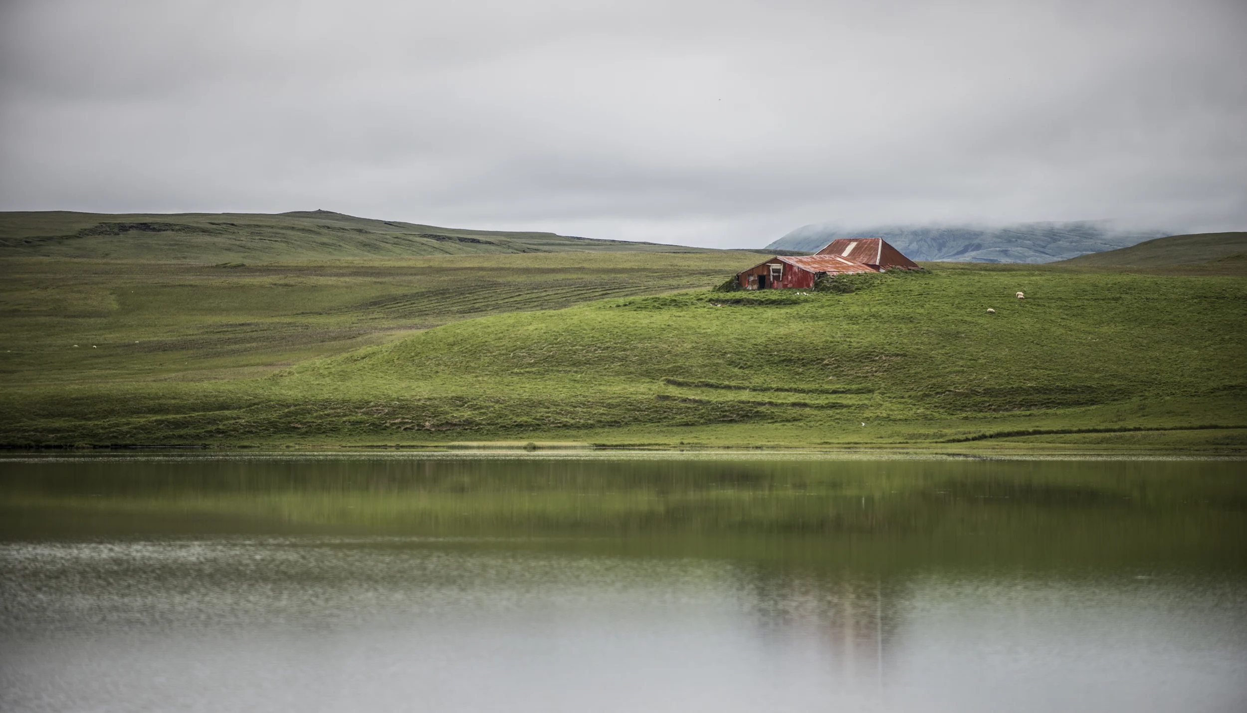 DSC_0882-Edit.jpg