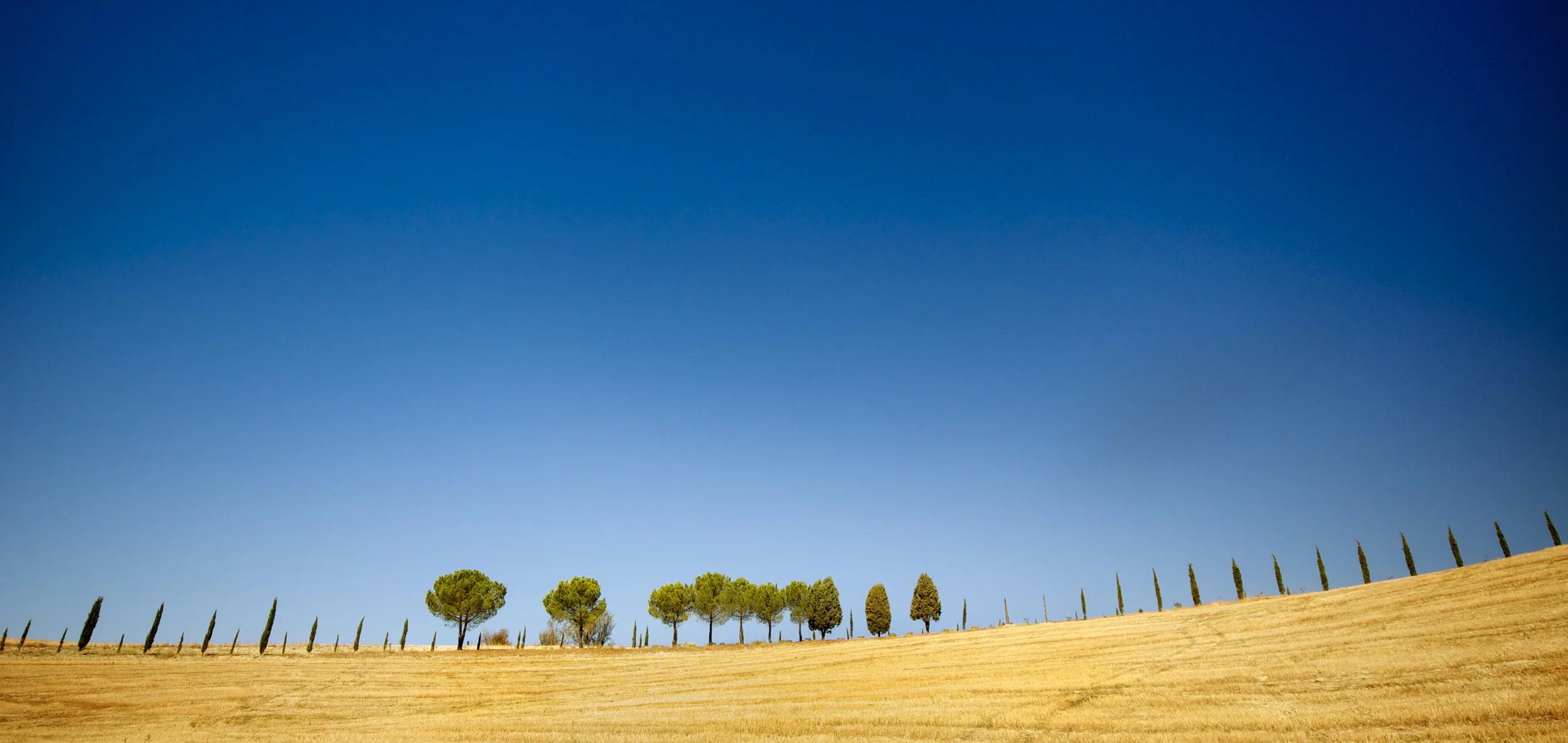 Toscana 11(C)- 50.jpg
