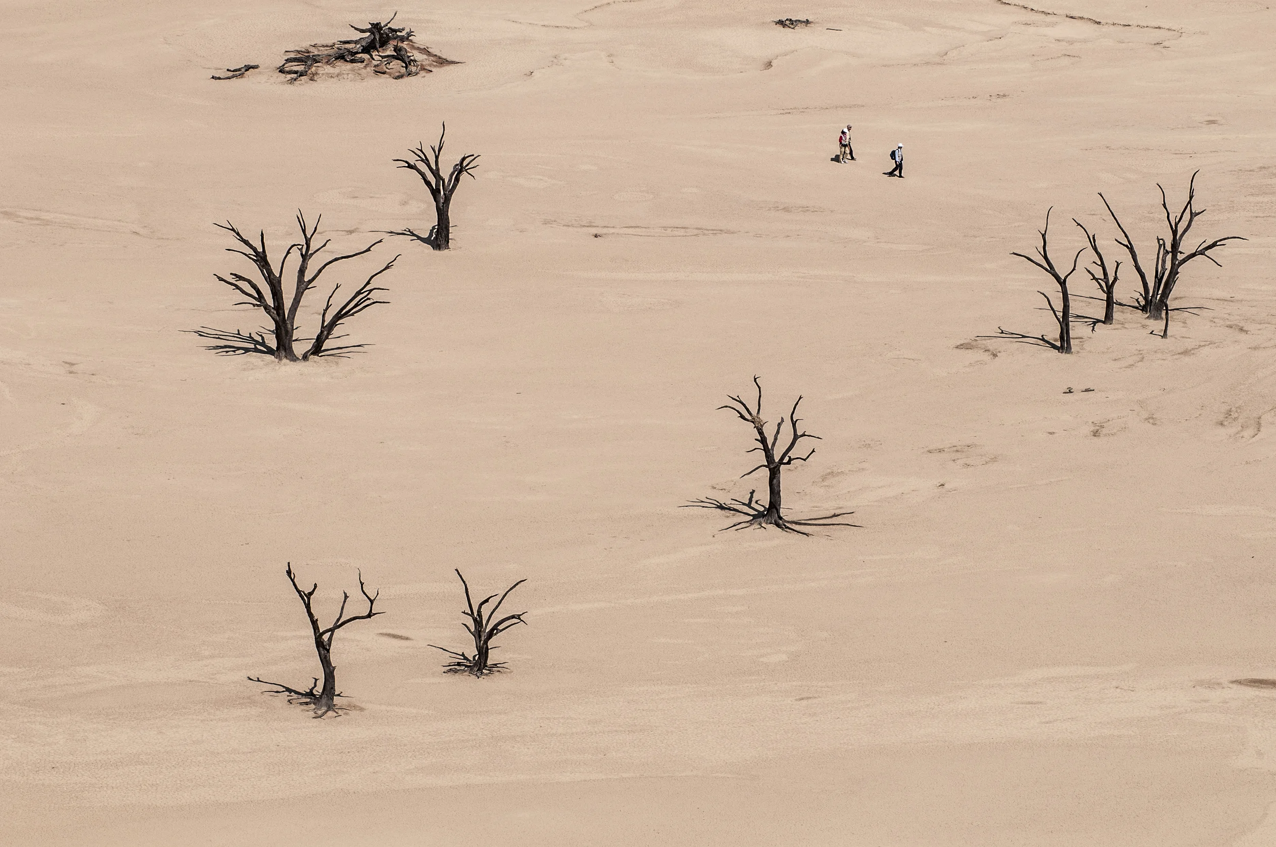 Namibia 08 - 236.jpg