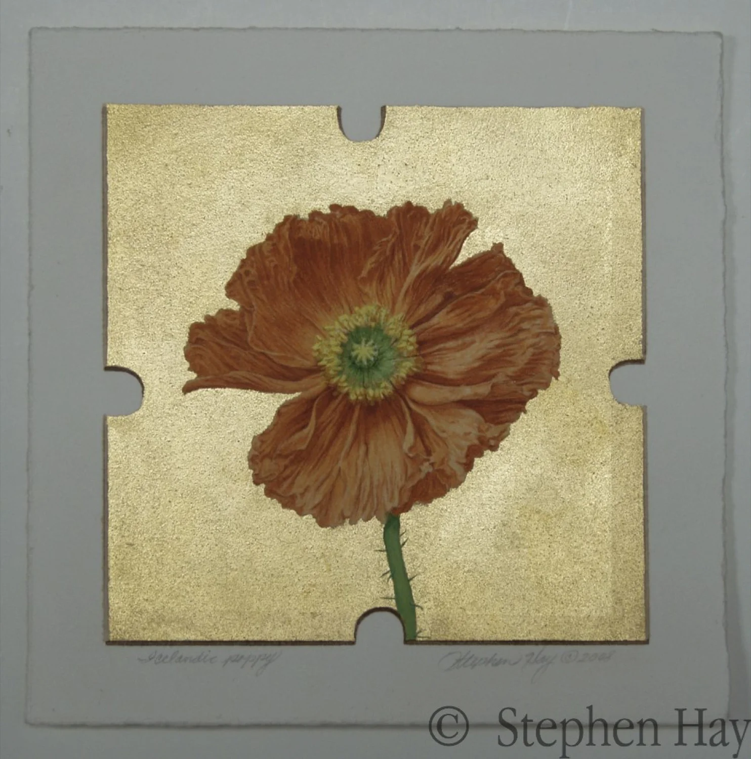 GILDED_BOTANICALS_ICLANDIC_POPPIES_1.jpg