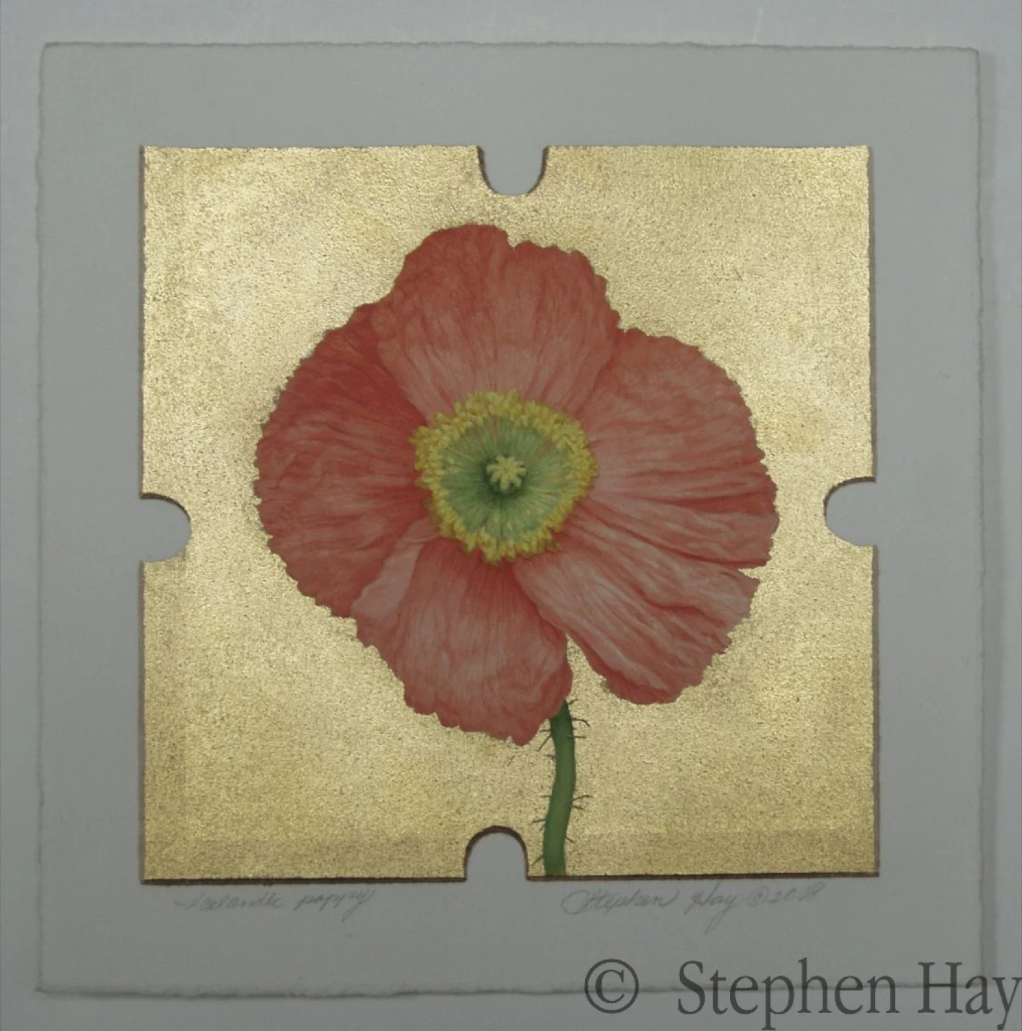 GILDED_BOTANICALS_ICLANDIC_POPPIES_2.jpg
