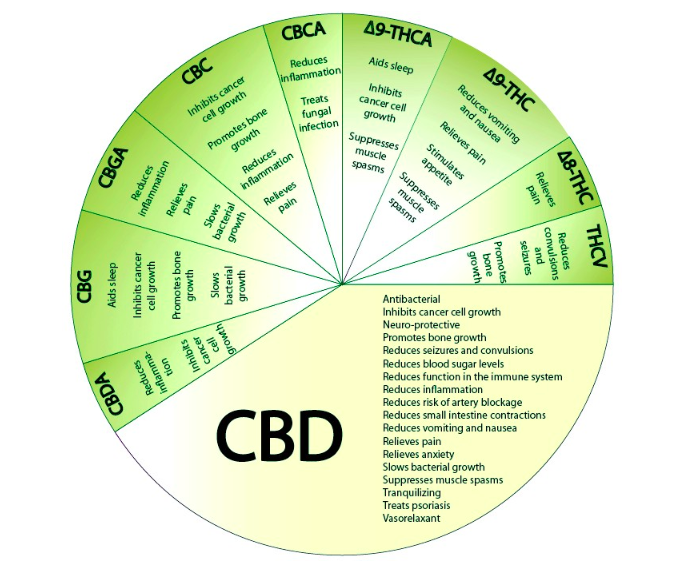 https://medium.com/cbd-origin/cbd-isolate-vs-full-spectrum-cbd-b78a6eab319c