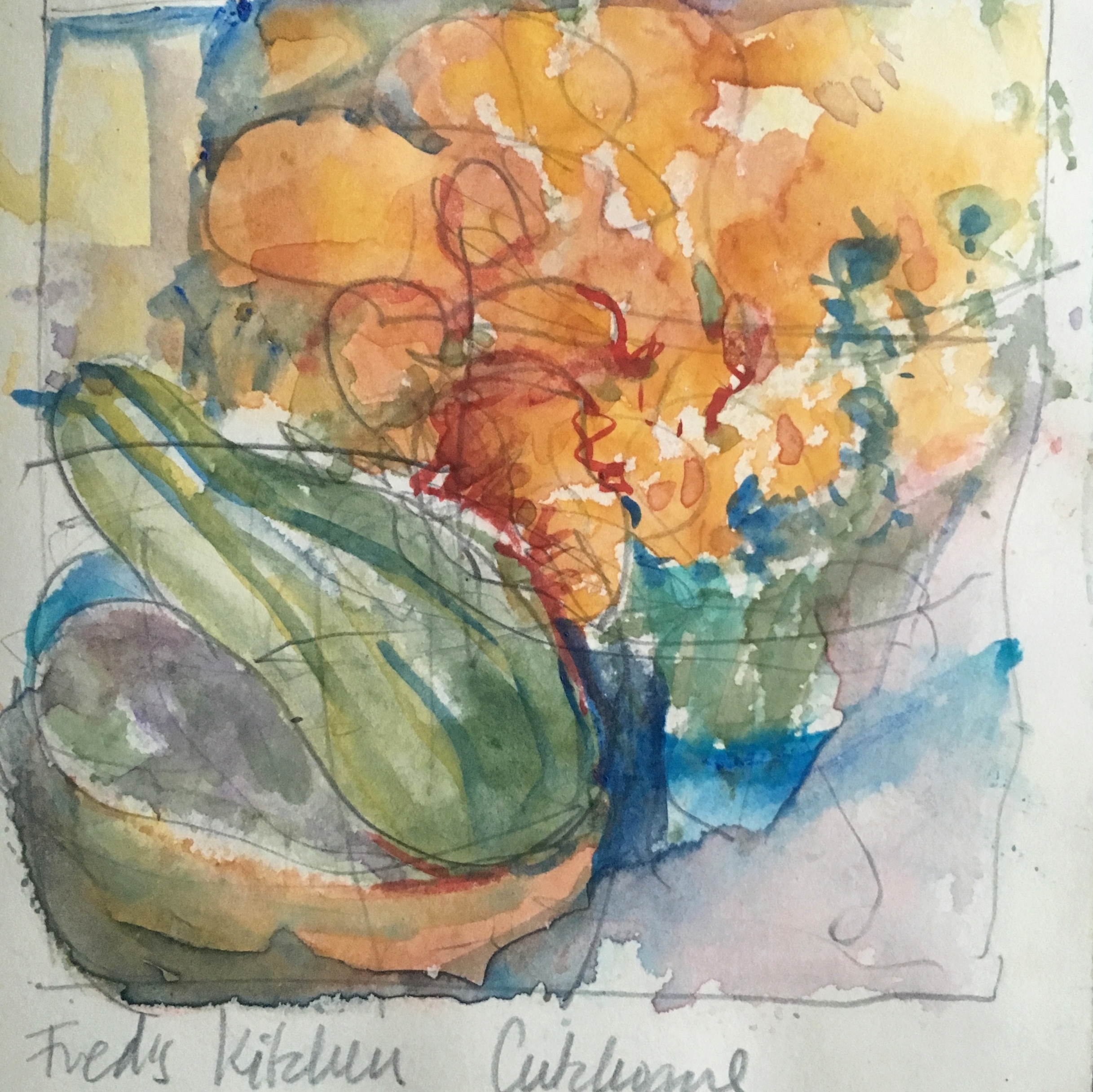 Fred's kitchen 2015/8, Journal watercolor & pencil, beth vendryes williams