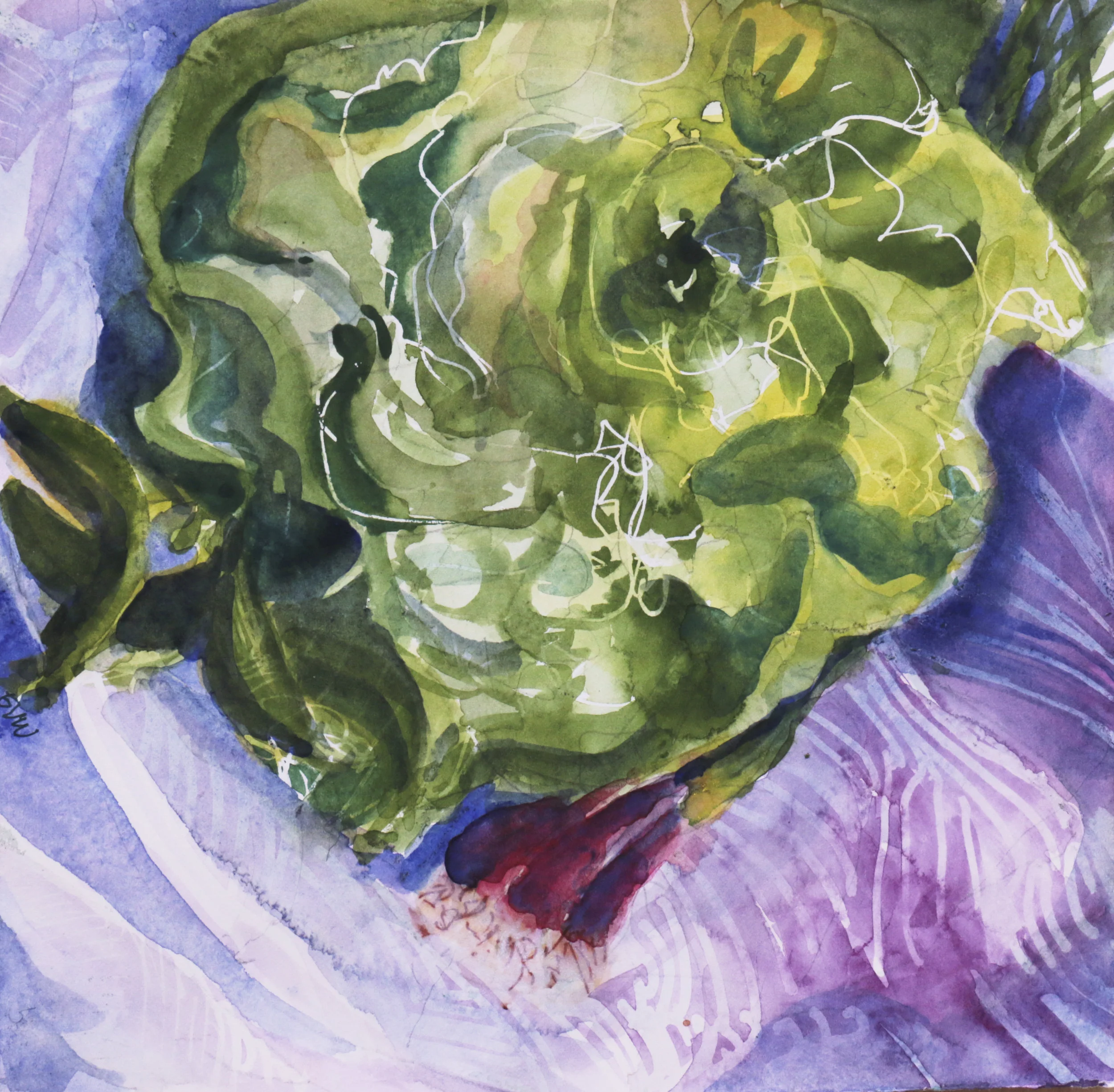 lettuce and red onions 971