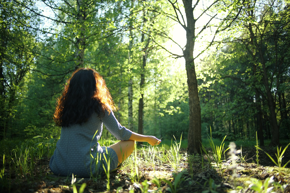 Kết nối thiên nhiên, ôm lấy cỏ cây và để Mẹ Trái Đất ôm lấy bạn - giúp chữa lành trái tim và cảm xúc. <i>Nguồn ảnh: mindsoother.com/</i>