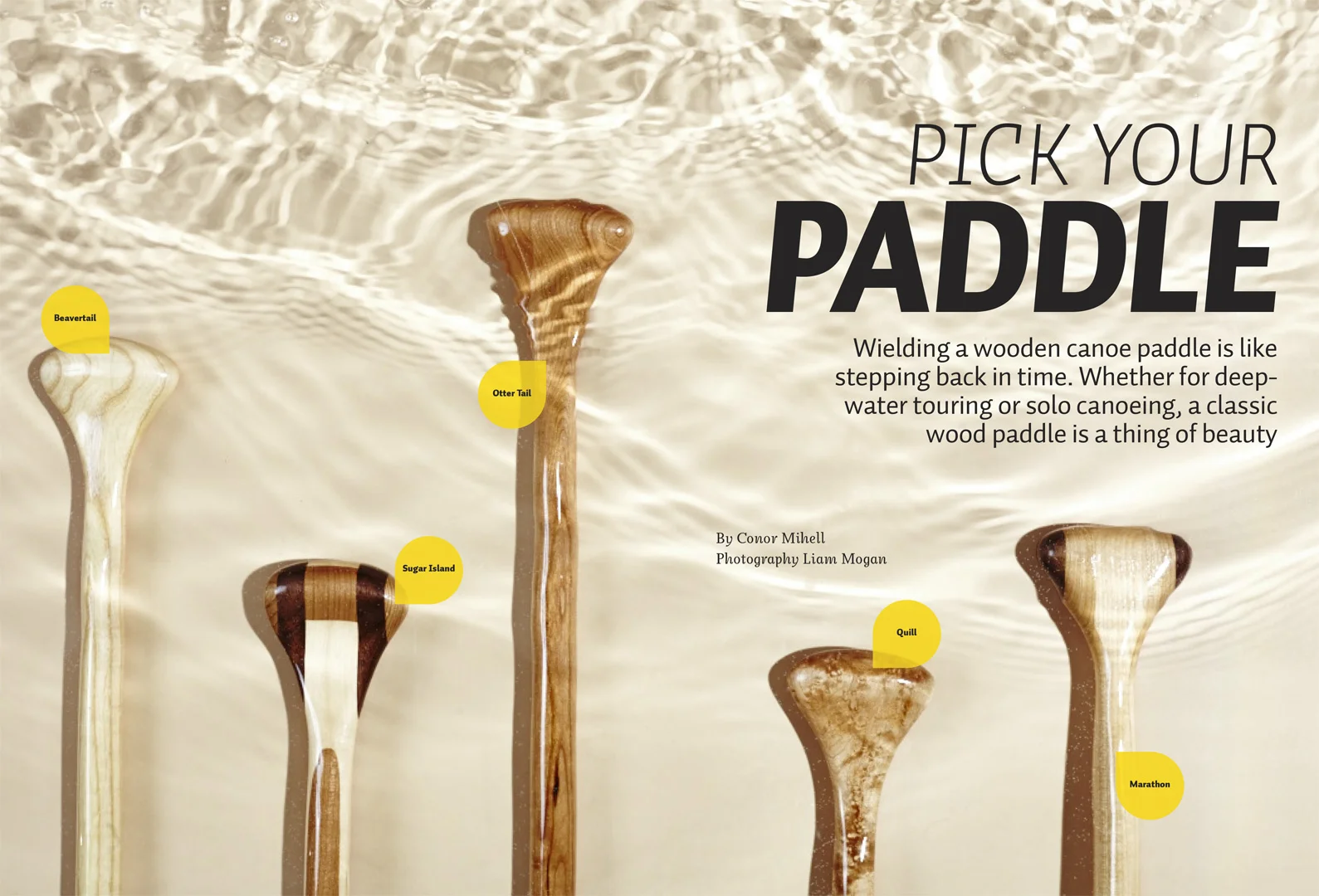 paddles_22-1.jpg
