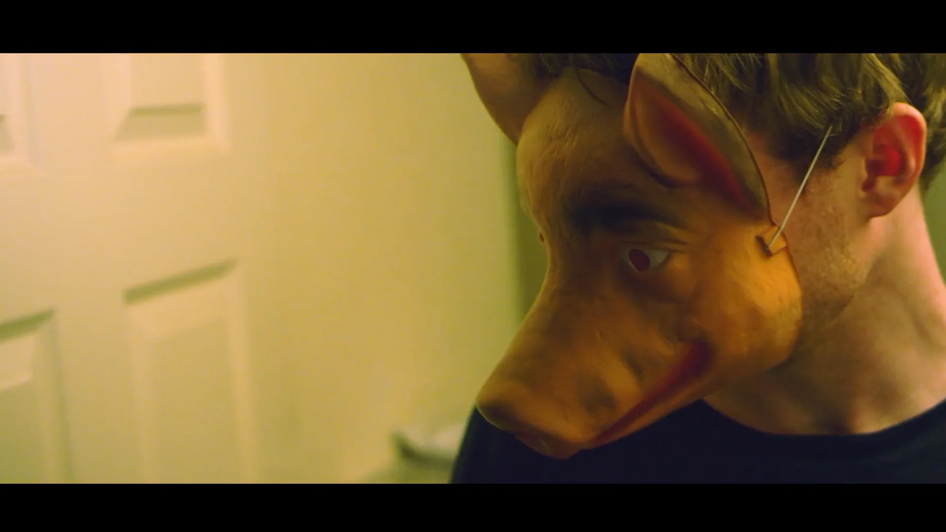 Hogwash (2017) -Producer-A group of friends break into a house only to find out a serial-killer has beat them to it.