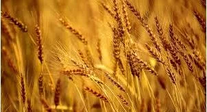 "So They Watched Him Closely"