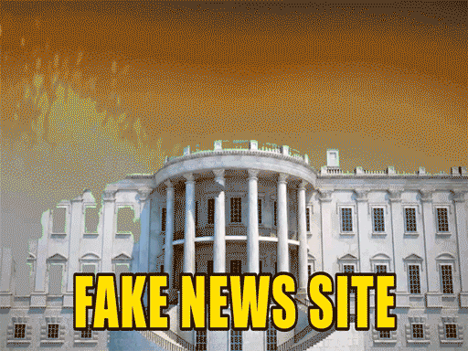 FAKE NEWS SITE by Jason Livingston