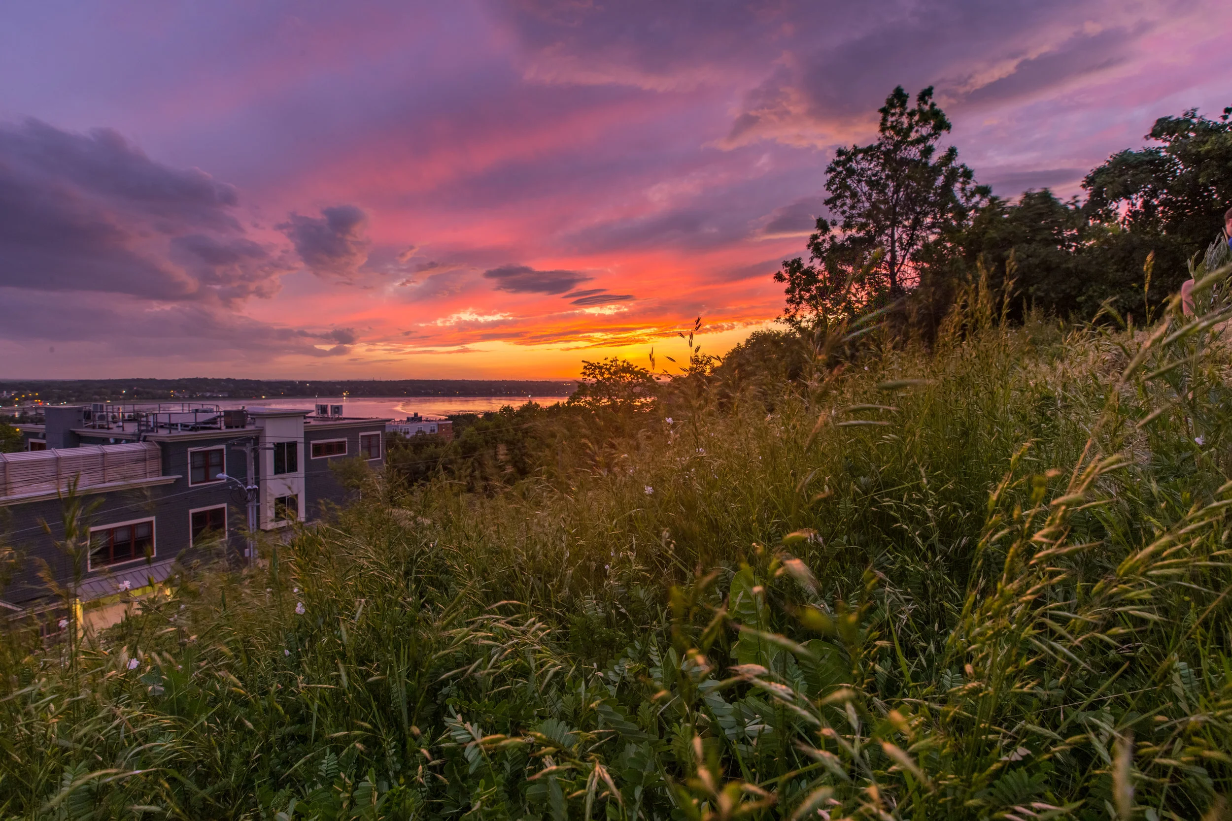 IMG_0512-HDR.jpg