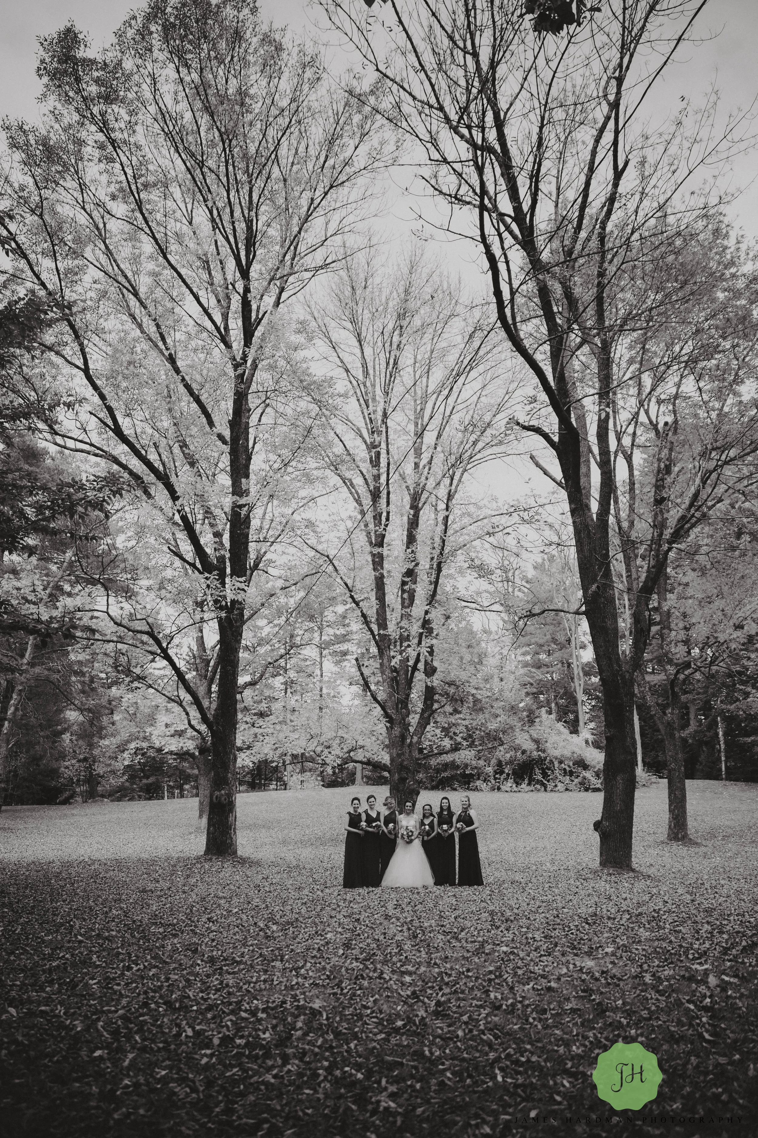 jpg (35 of 111).jpg