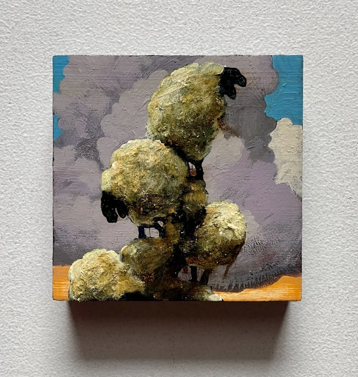 Sheep (2:3:2026).jpeg