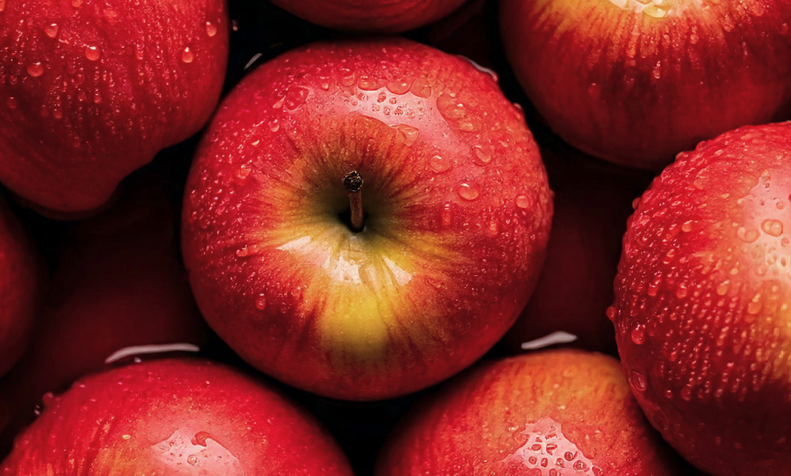 Screenshot 2026-02-06 at 1.19.47 PM.png