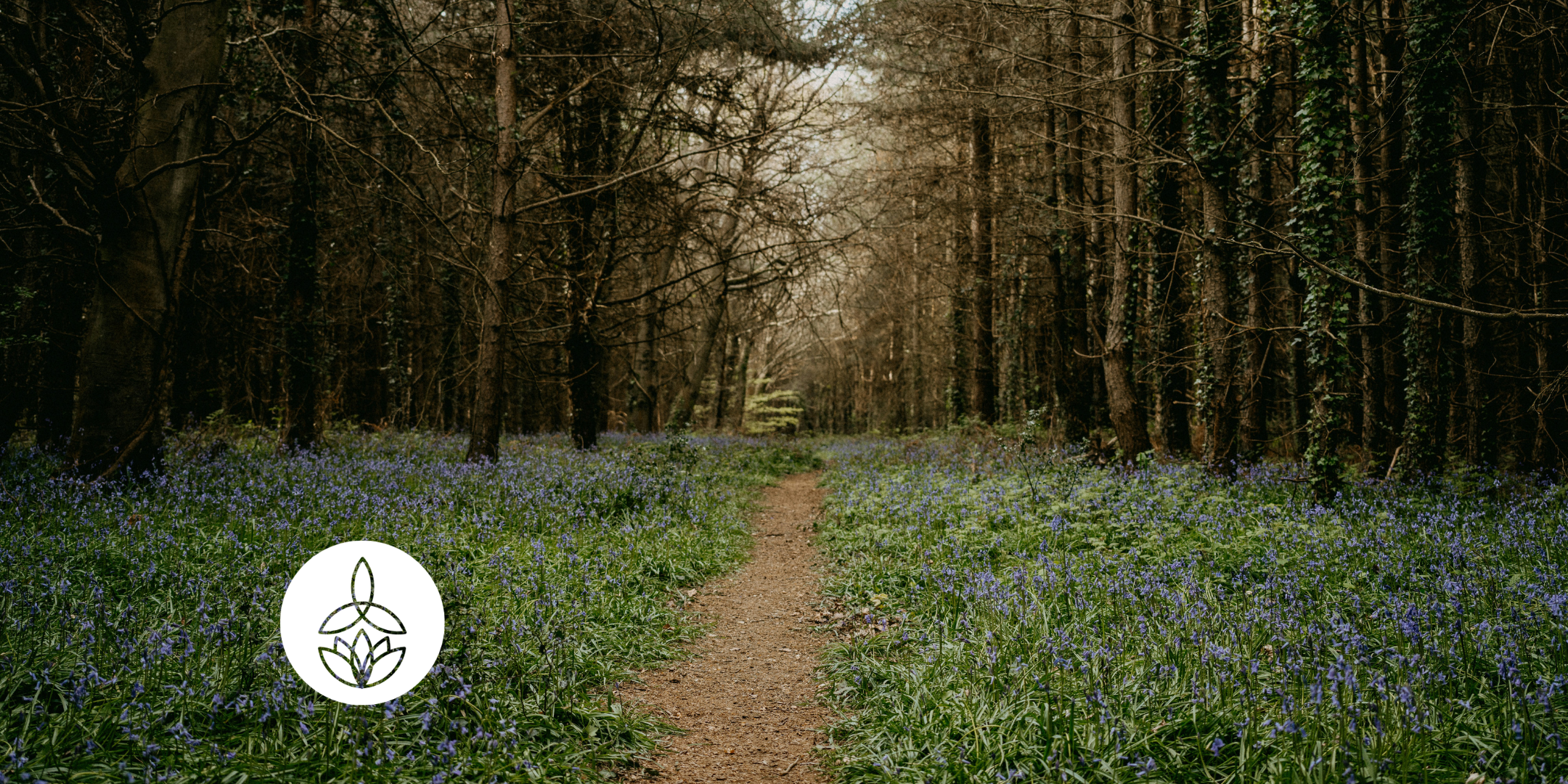 Awakening Meaning in a Disoriented Age (Online)