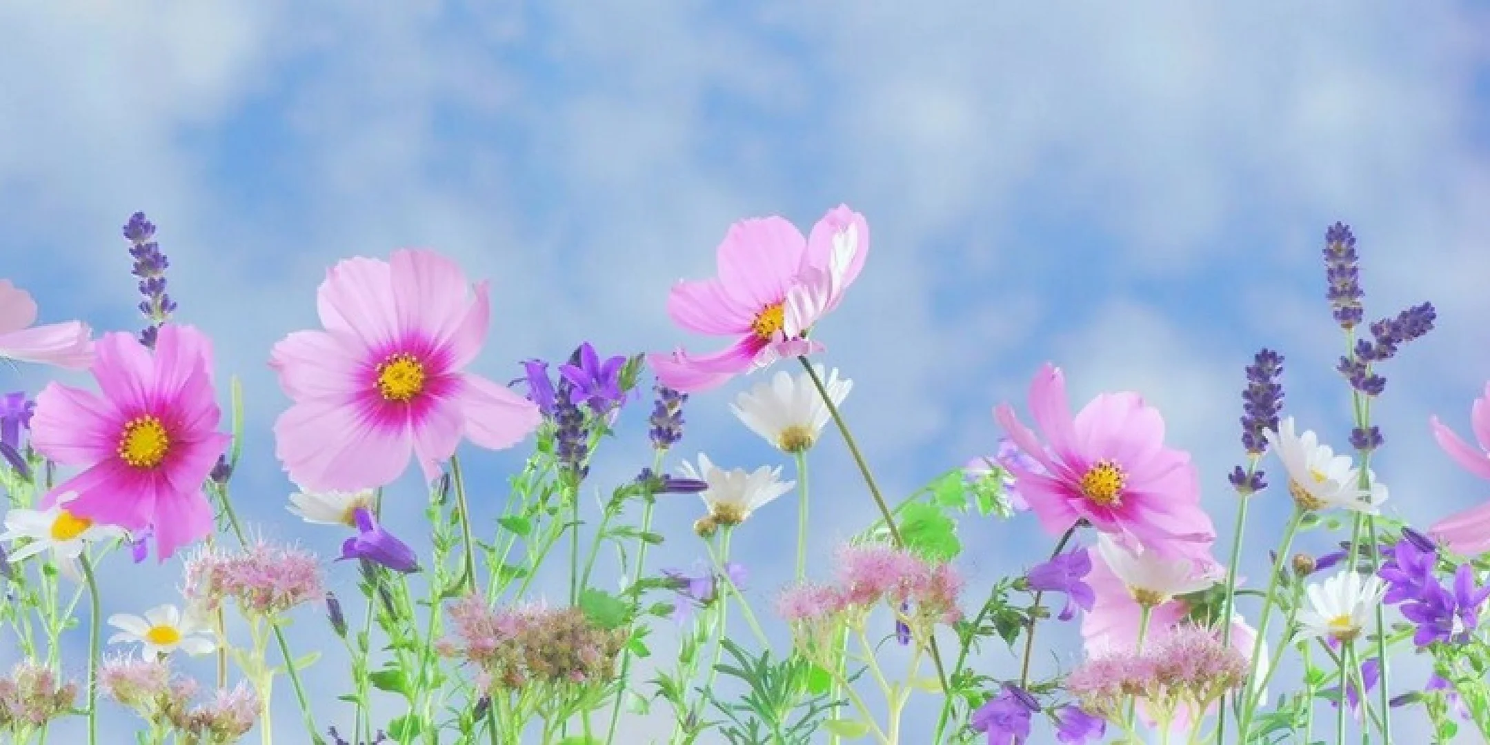 How Do I Start Meditating?