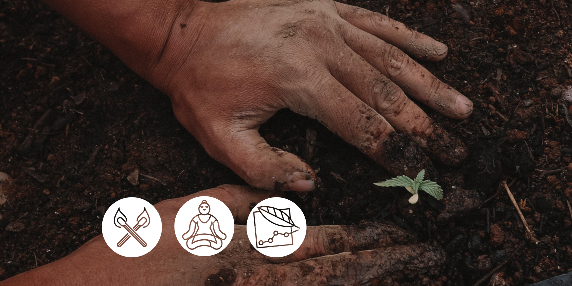 Beyond Climate Grief: Cultivating Aliveness in a Time of Change
