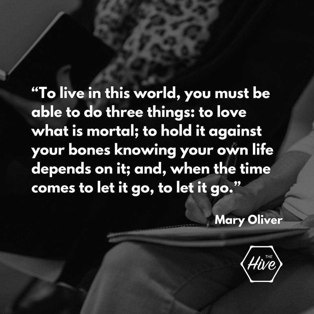 Let it go.

#maryoliverquotes #hivecincy