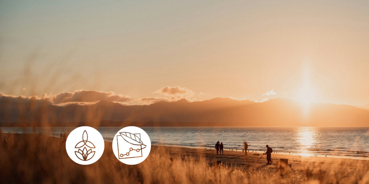 From Reactivity to Relationship: Cultivating New Patterns of Presence, Compassion, and Connection (In-Person)