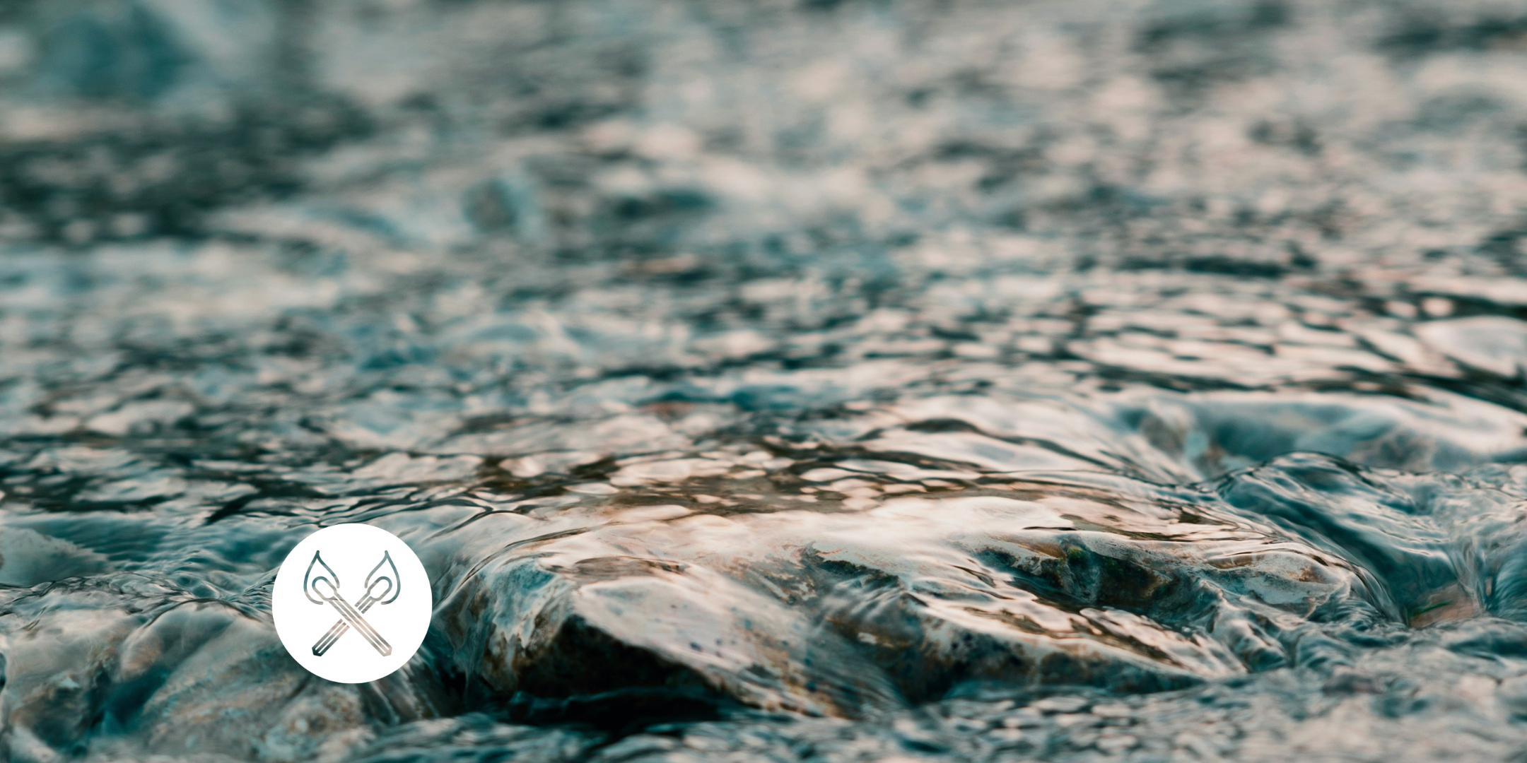 Healing into Power: Building Community Strength &amp; Strategic Noncooperation (In Person) 