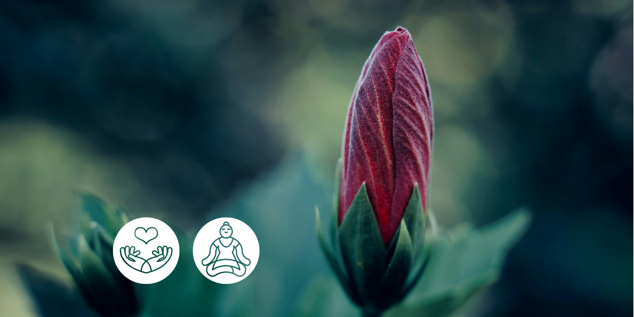 Coming Home to Self: Laying a Foundation for Self-Leadership (Online)