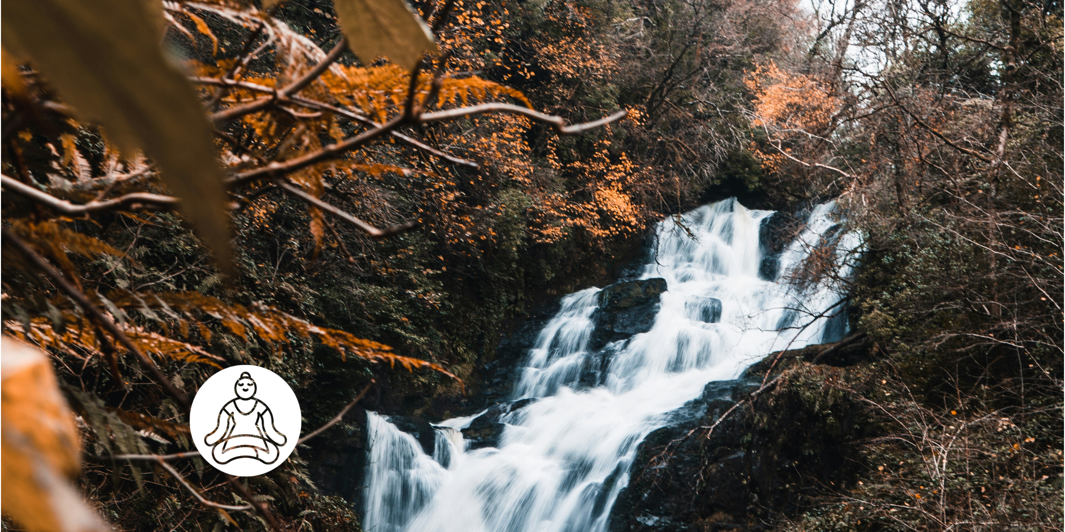 Embodiment Practice Group: Aligning Mind, Body, and Spirit with Qigong (Hybrid)