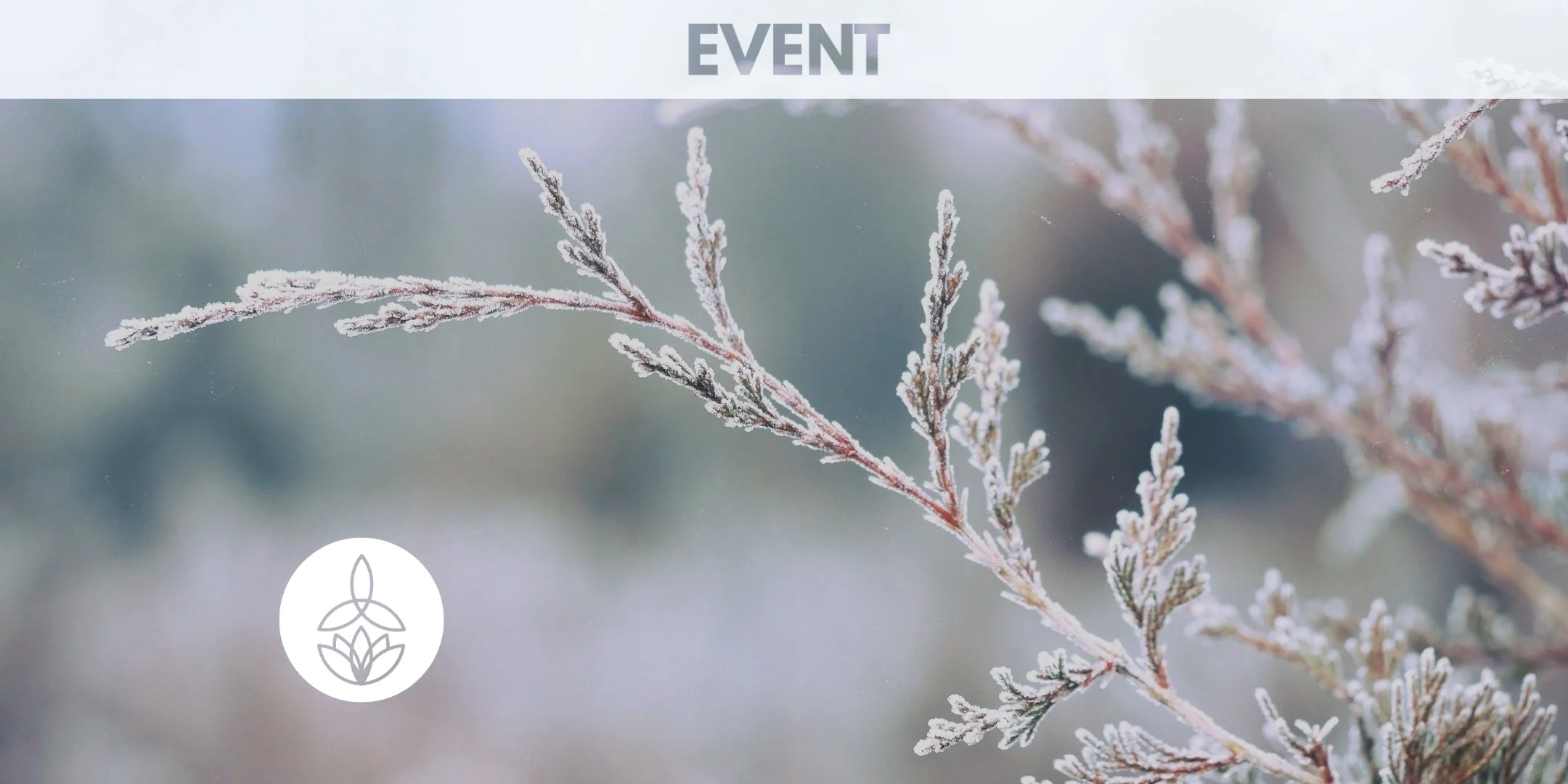 The Winter Slowdown (In-Person)