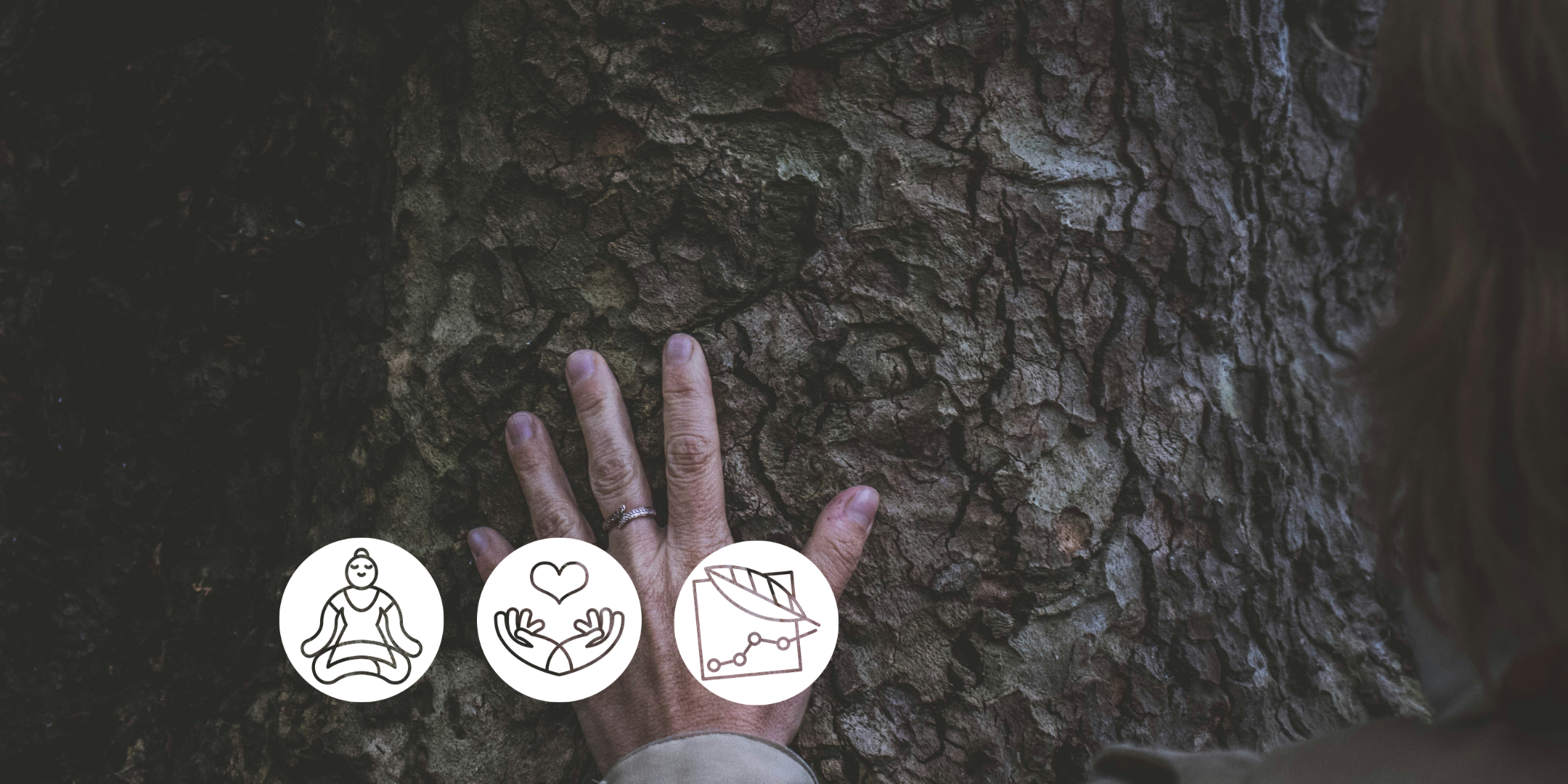 The Alchemy of Discomfort (In Person) 