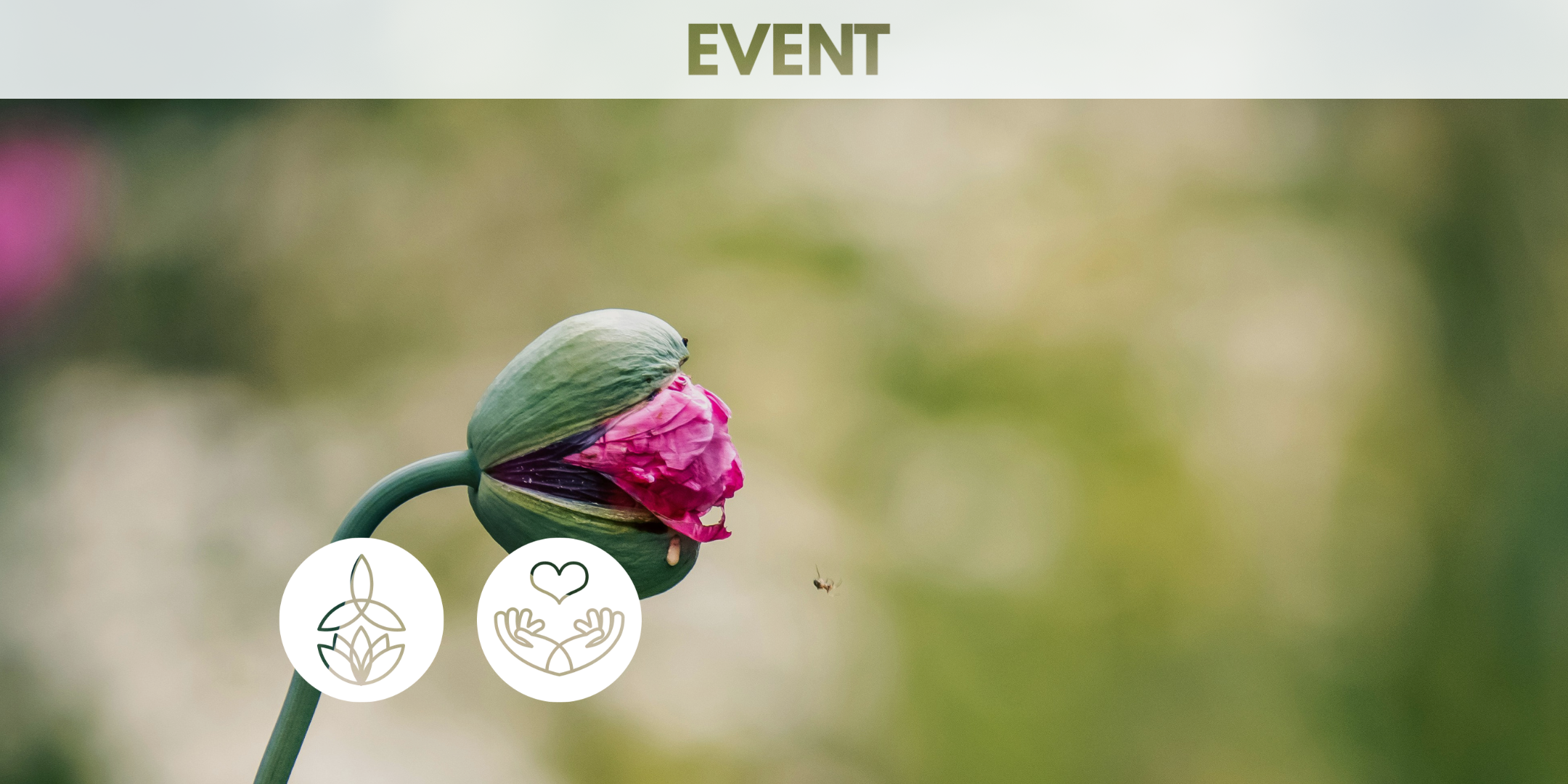 &nbsp;Awareness in Action (In Person) 