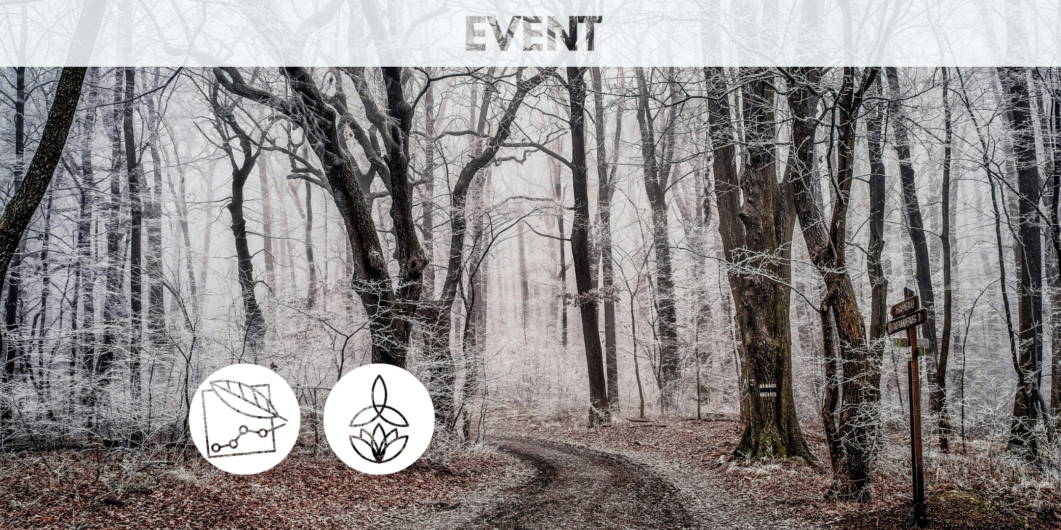 Practicing Compassionate Presence: An Enneagram Panel Day (In-person)