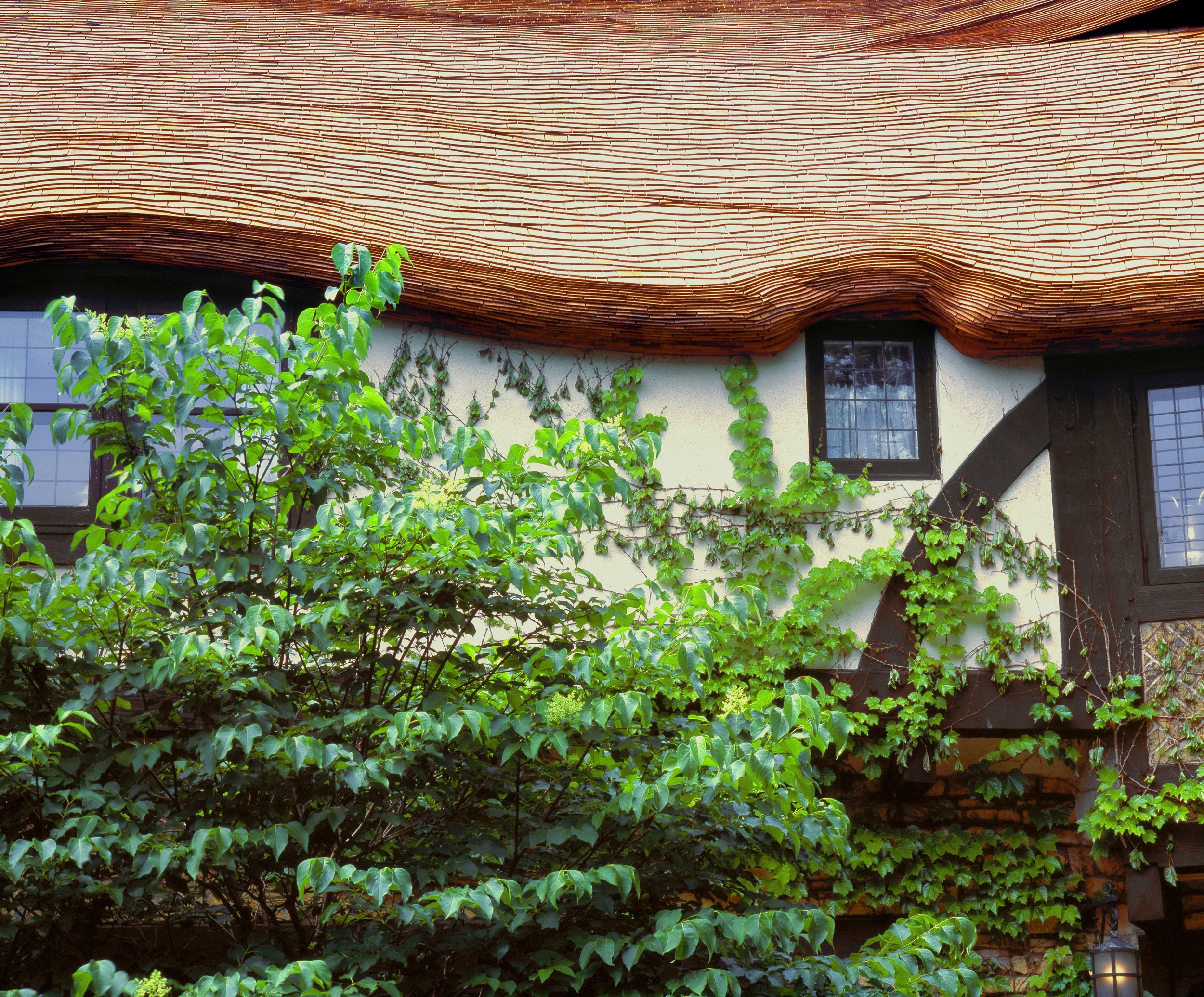 3in-Average-Wave-Coursing-with-Thick-Stacked-Roof-Edges-(7).jpg