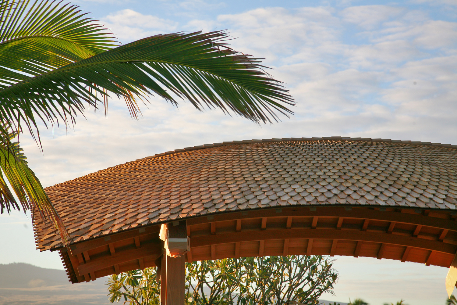 Curved Roof Style Shingles | Contact Us | Custom Shingles | Custom Shingles