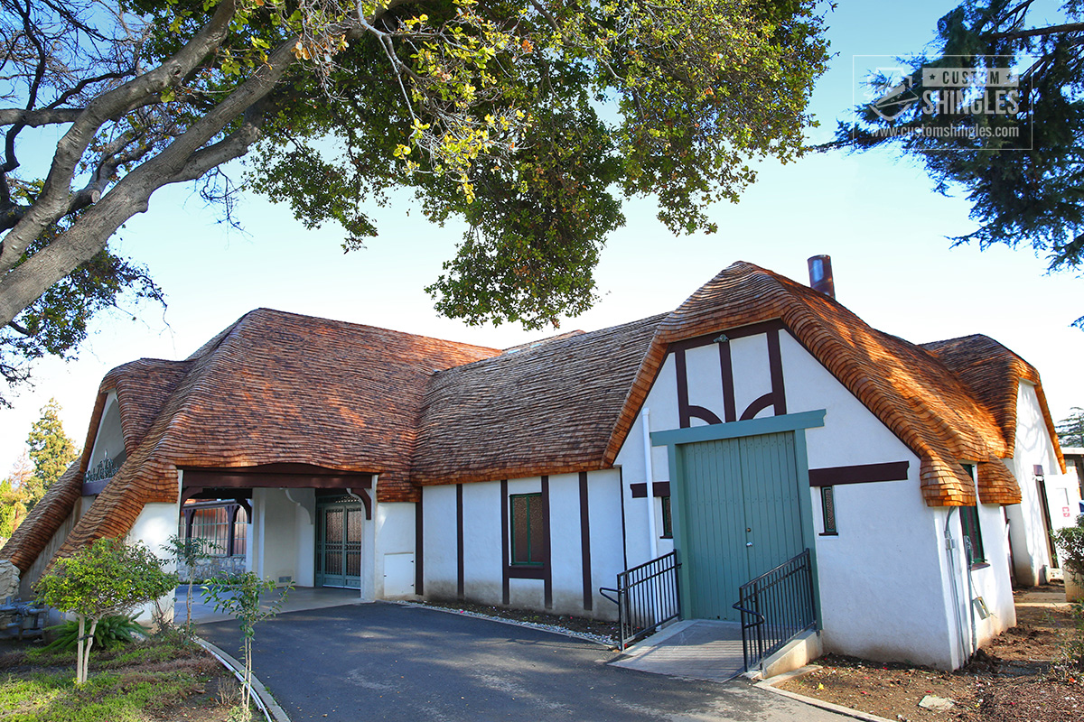 pic 9.jpg