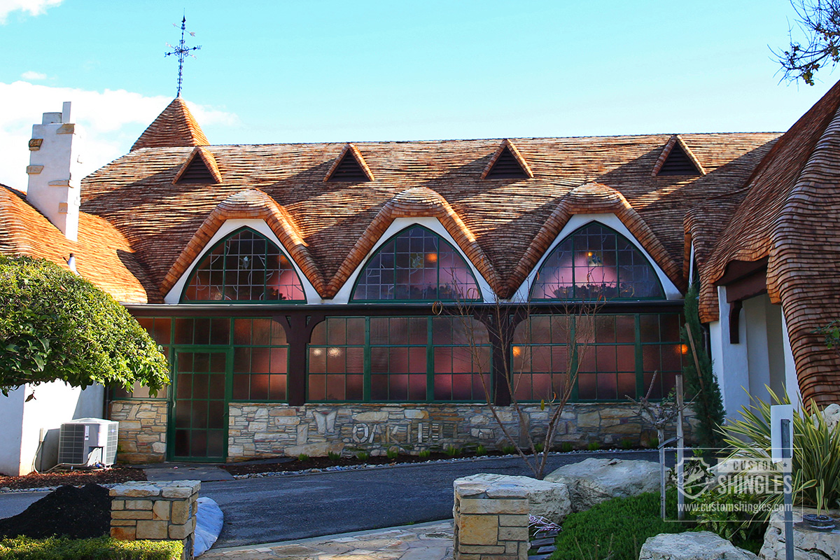 pic 1.jpg