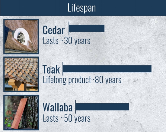 lifespan of custom shingles