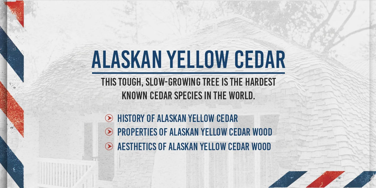 3 alaskan.jpg