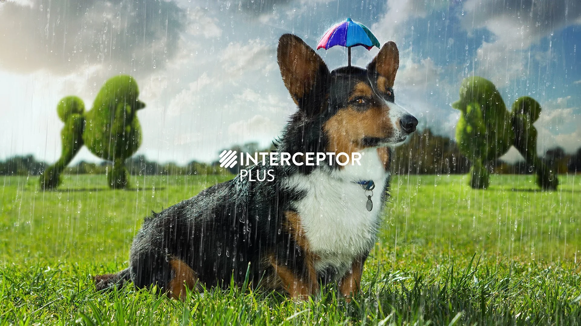 Interceptor Plus