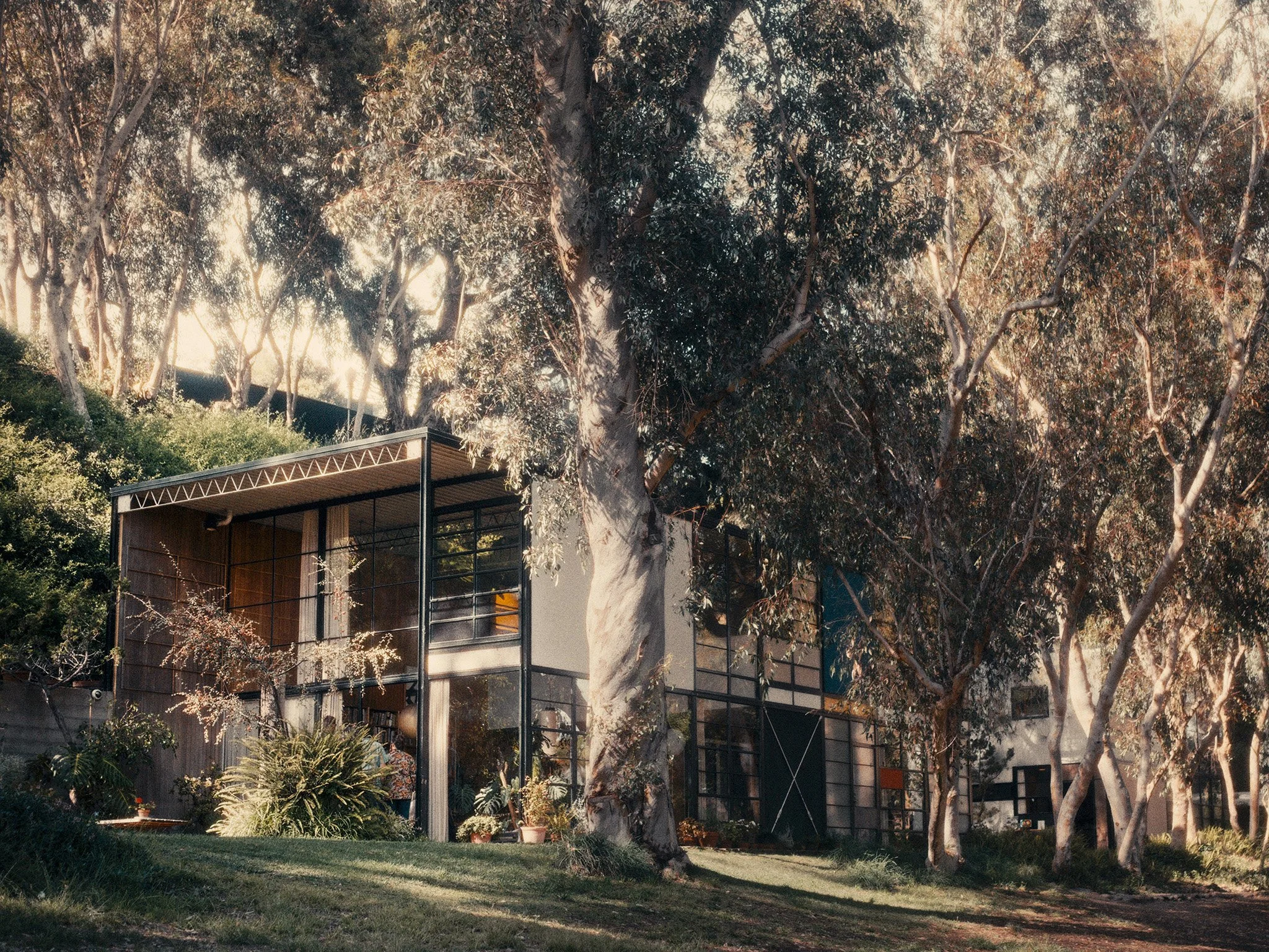 Case Study House No. 8