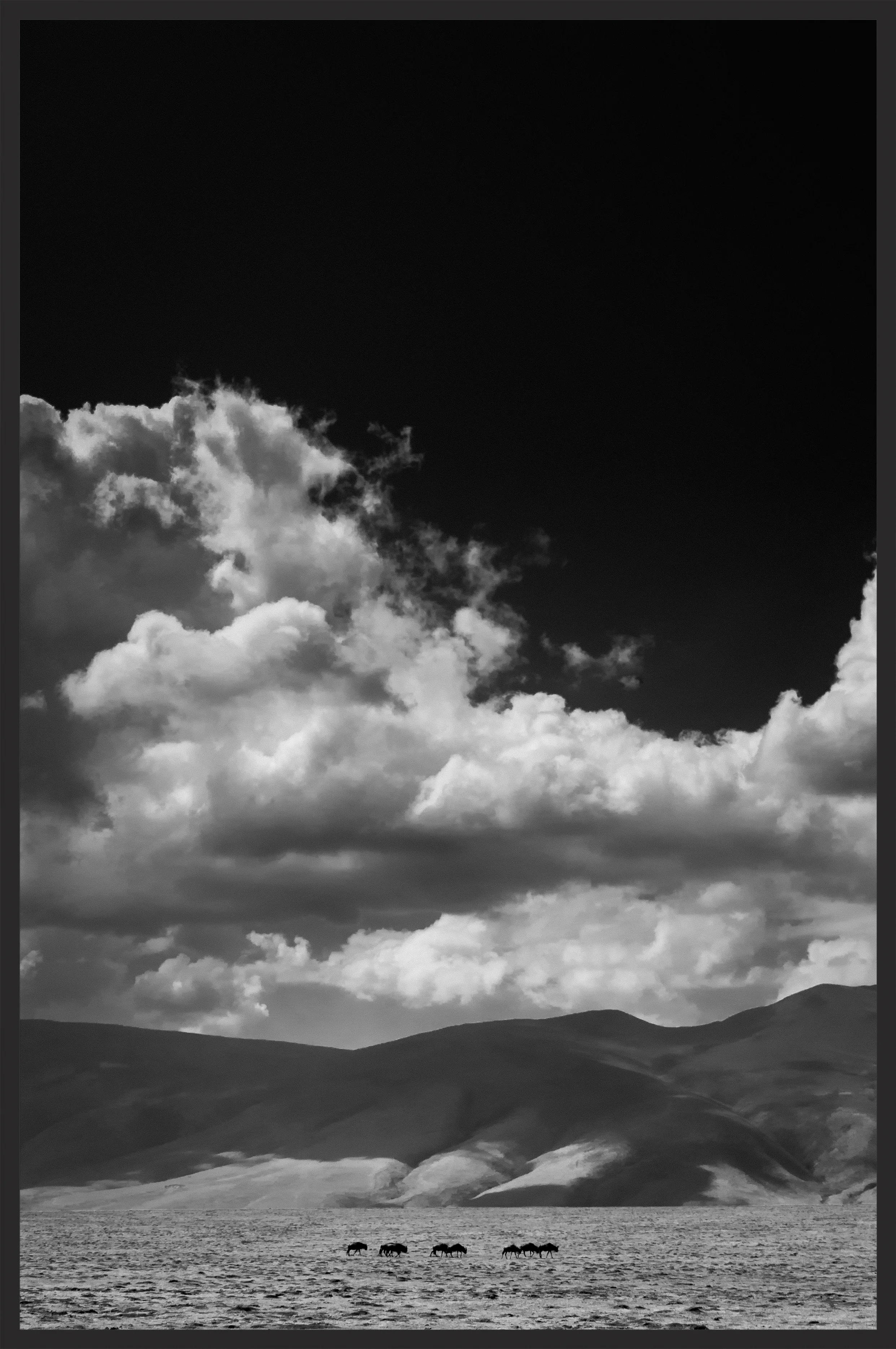 LEFT BEHIND GNUS