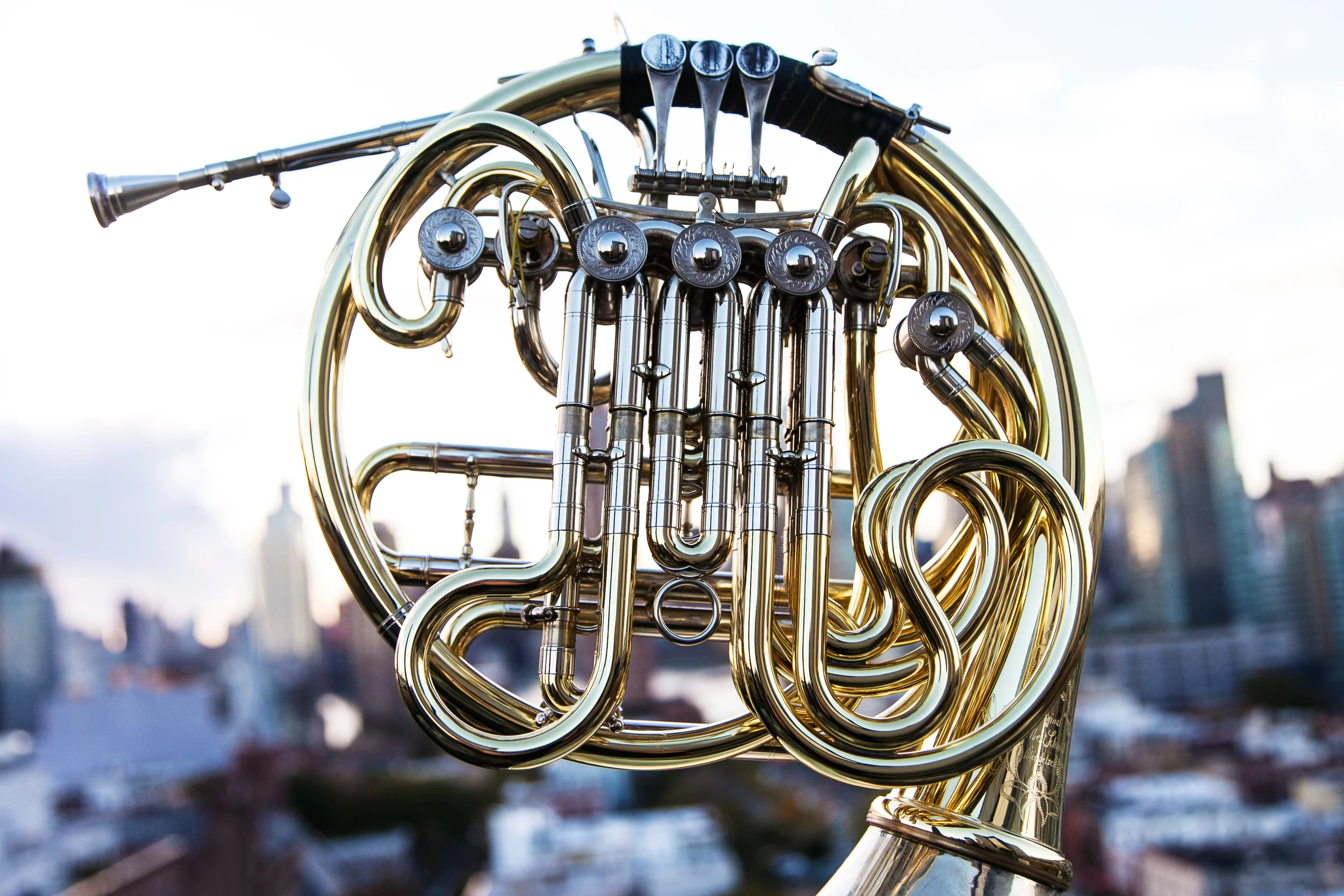 My Schmid triple horn
