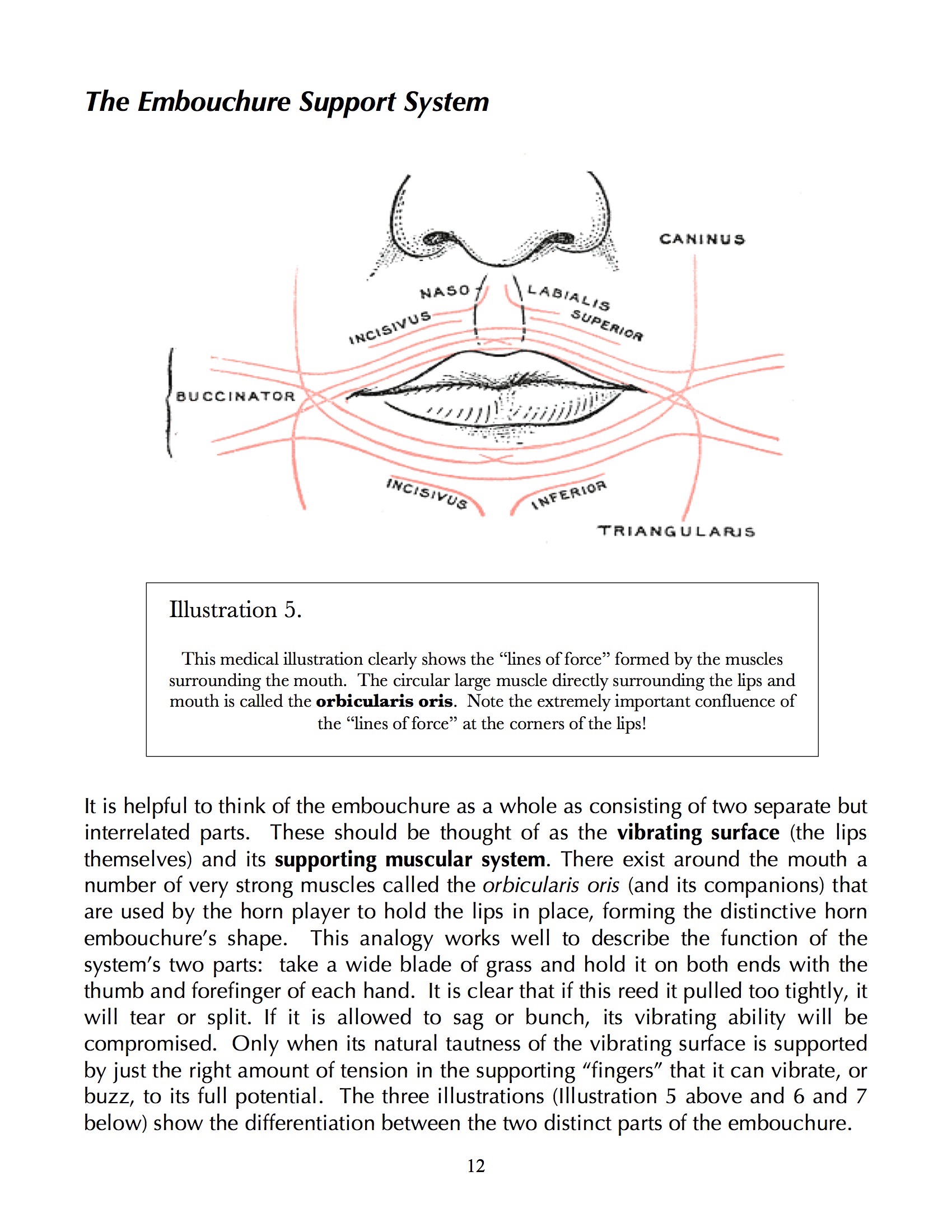  Here are some pages from the book. My approach to conceptualizing how to play the horn is somewhat scientific, but always in the interesting of serving the musical result.&nbsp; 