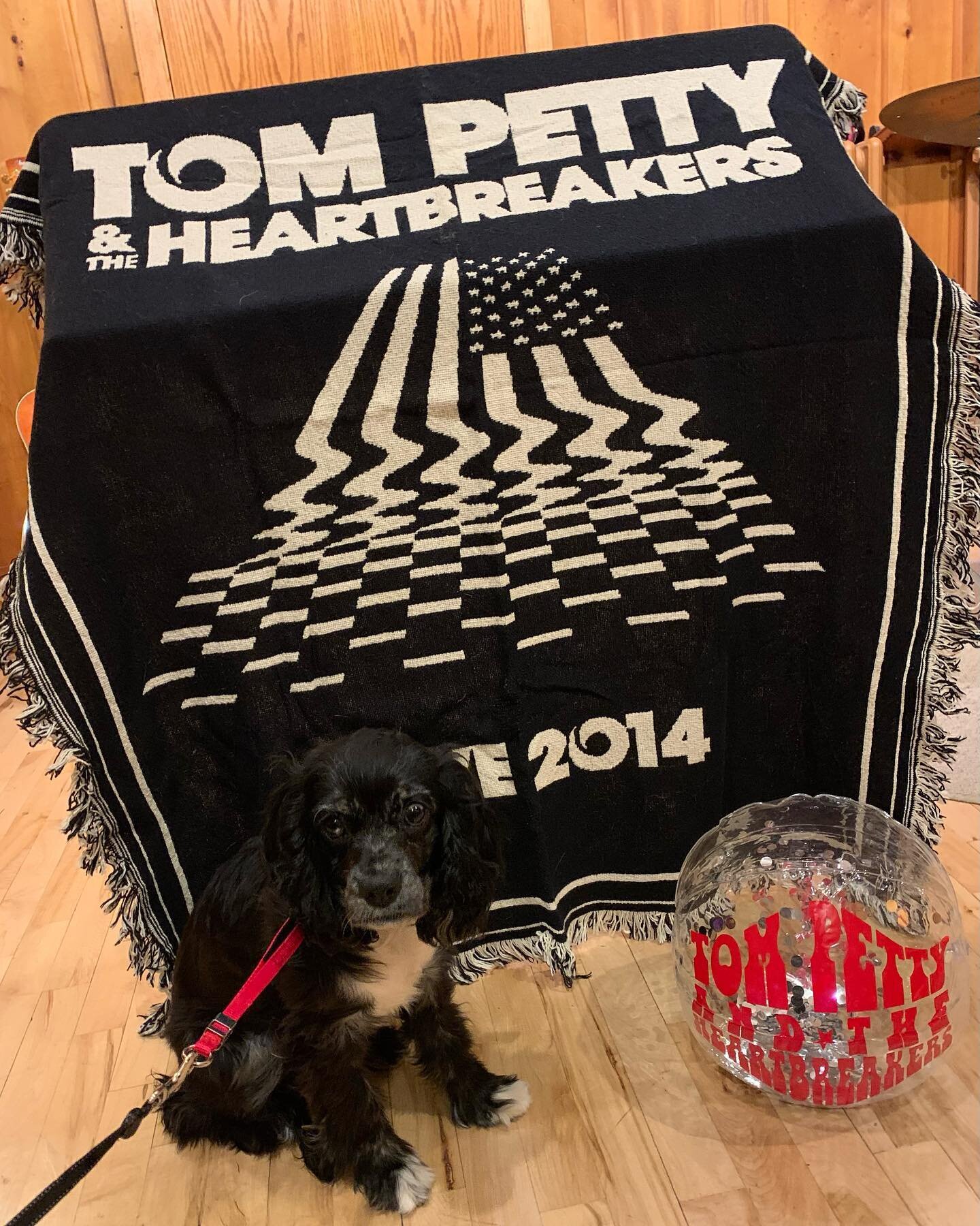 Rockin&rsquo; out at the Tom Petty listening party - woof!