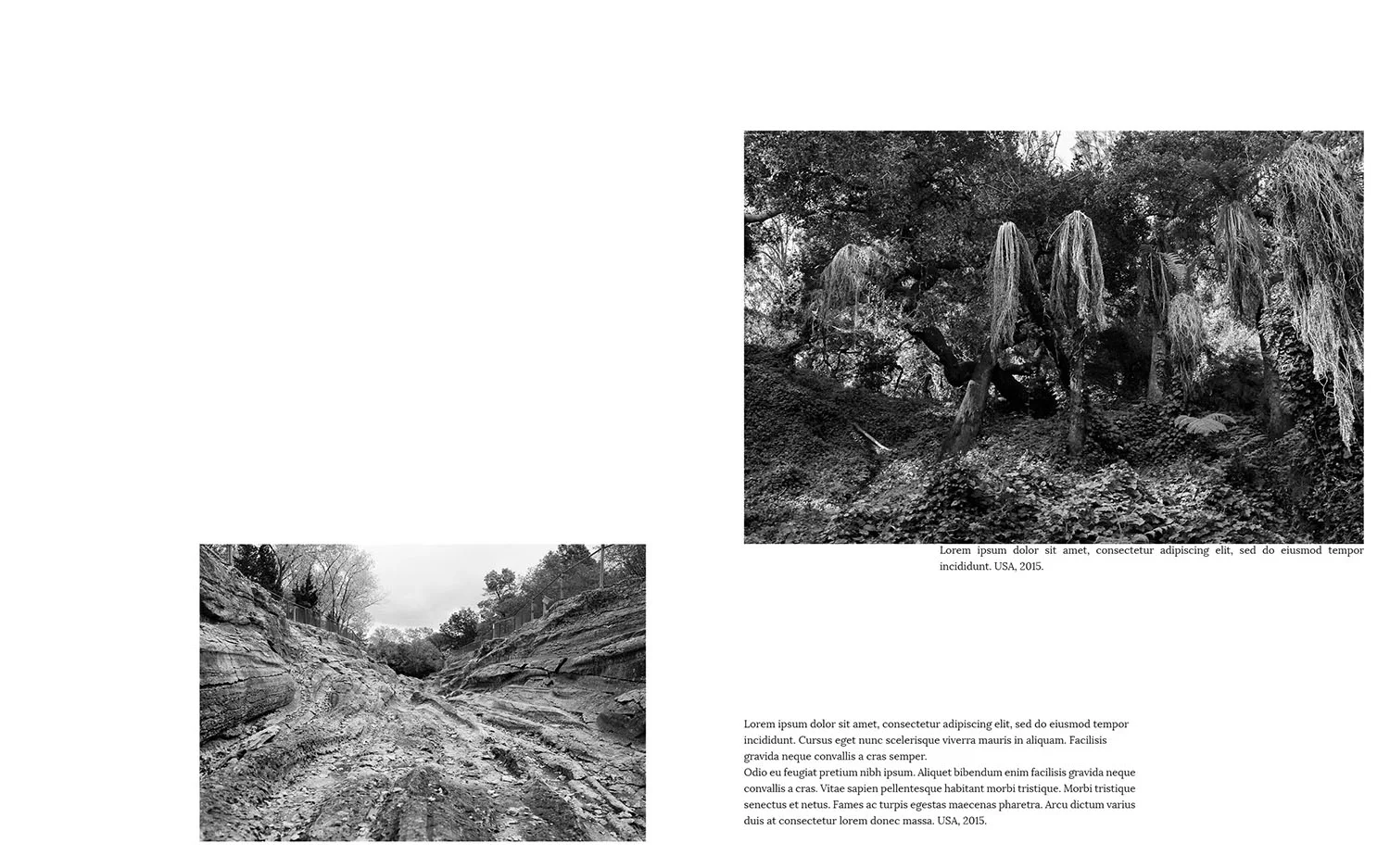libro_ordination_21_26_pixartprinting47.jpg