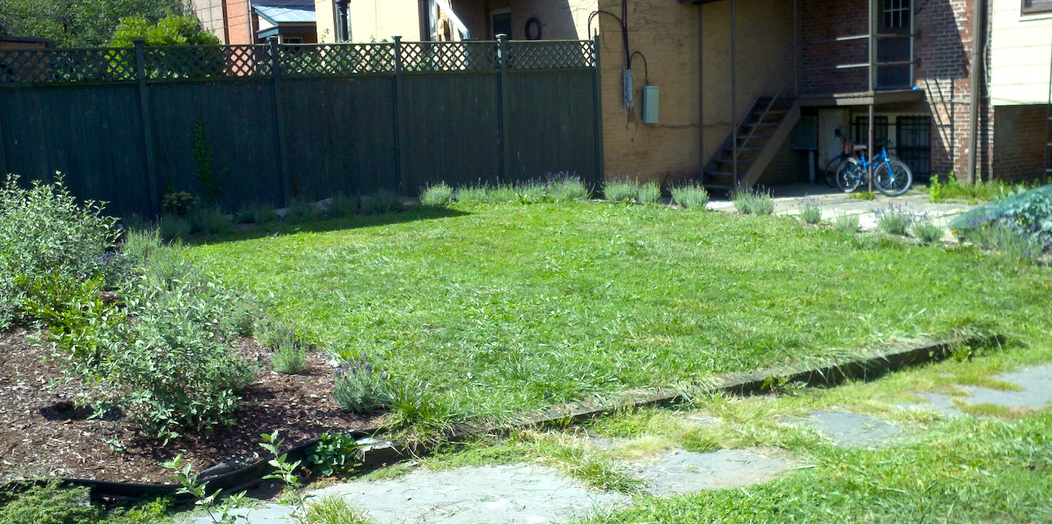 9-12 Garden Lavender.jpg